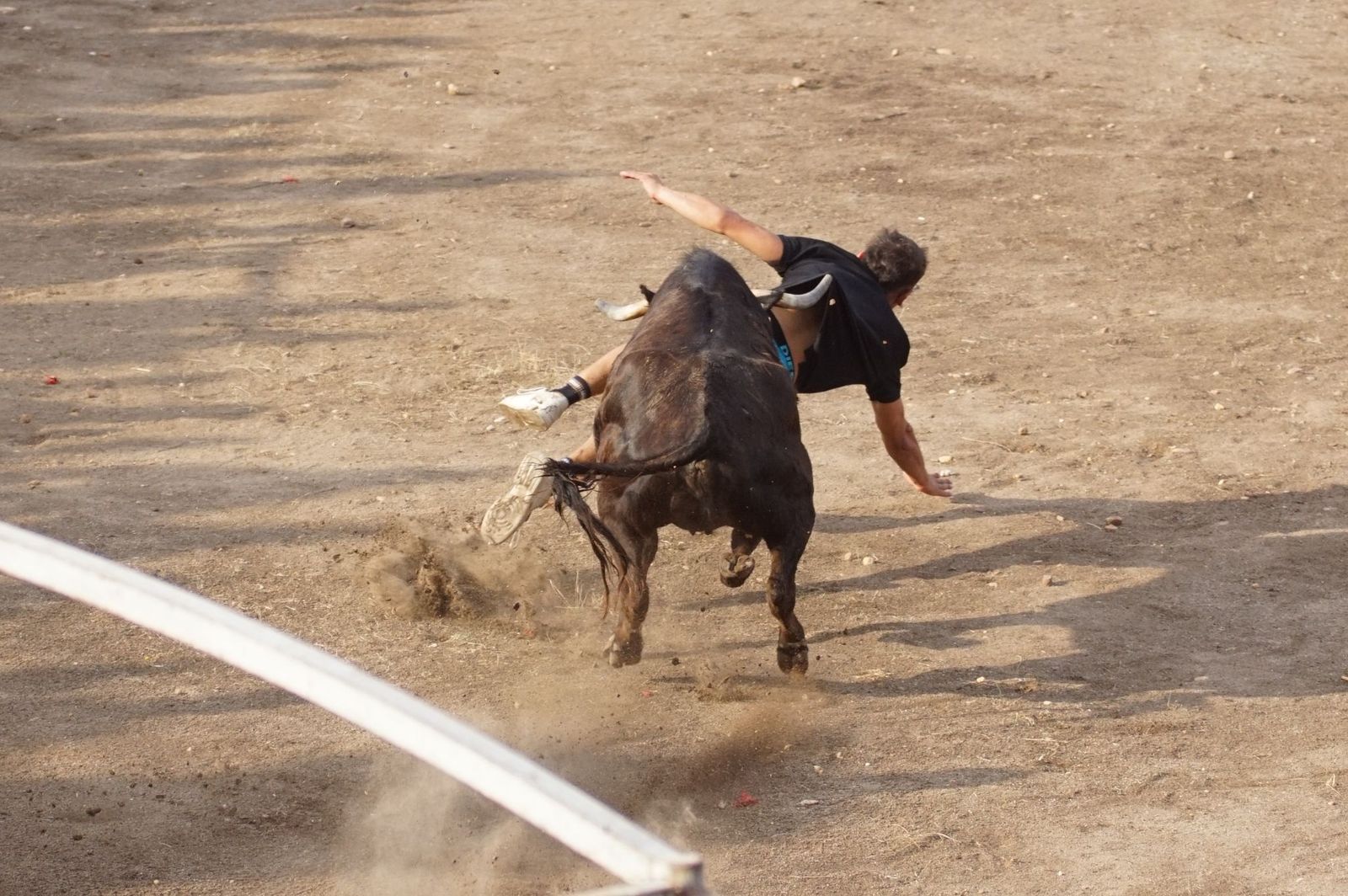 WhatsApp Image 2025-08-01 at 21.51.34.jpeg