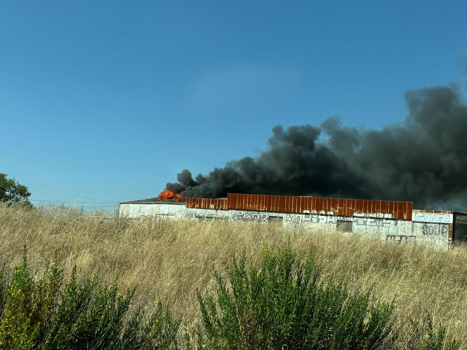 whatsapp-image-2024-08-22-at-17-44-38