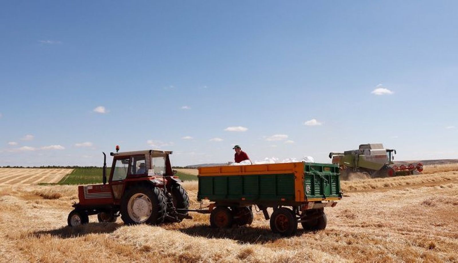 agricultor en el campo. UPA. Archivo agricultor en el campo. UPA. Archivo