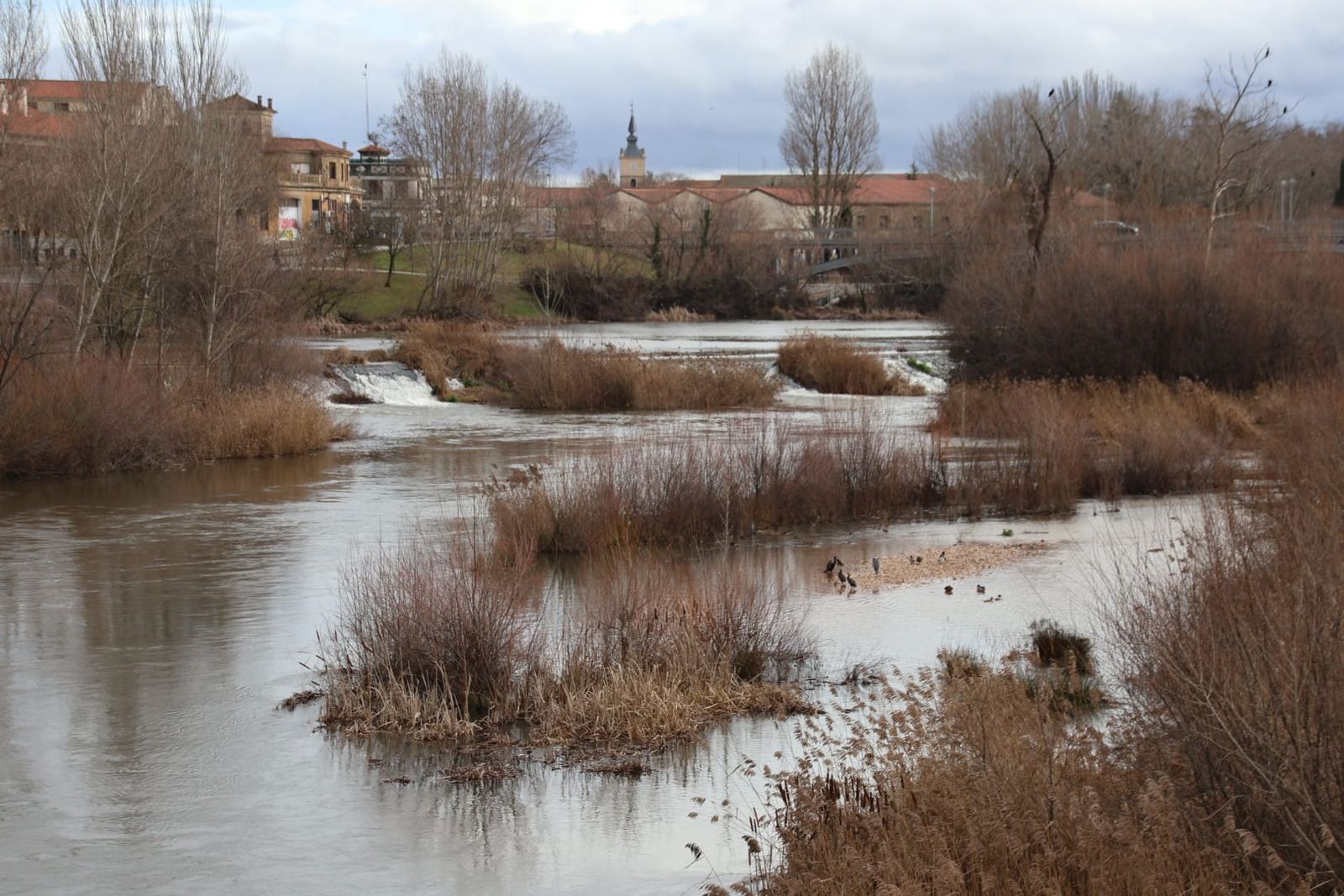 rio-tormes-a-su-paso-por-salamanca-tras-la-borrasca-irene-fotos-andrea-m-13