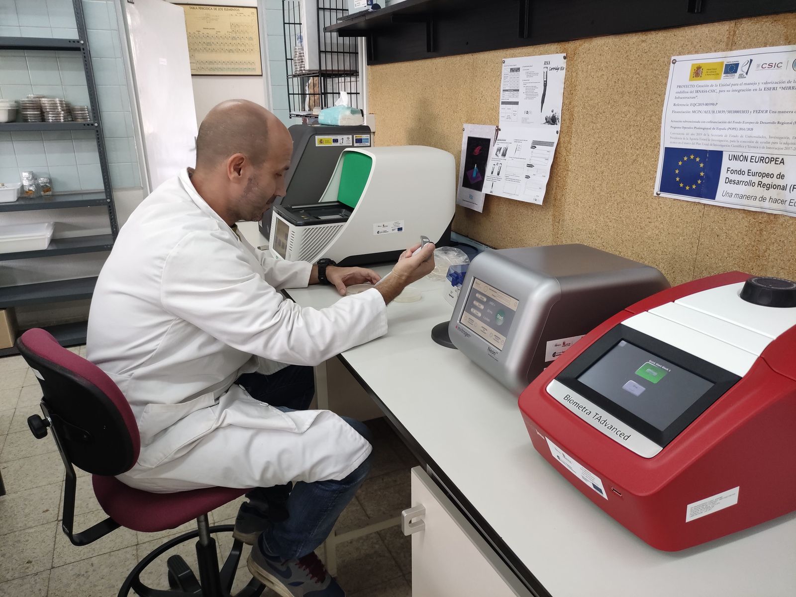 El IRNASA-CSIC de Salamanca crea un Servicio de Bioinformática y Edición Génica para la mejora de cultivos. Foto de archivo