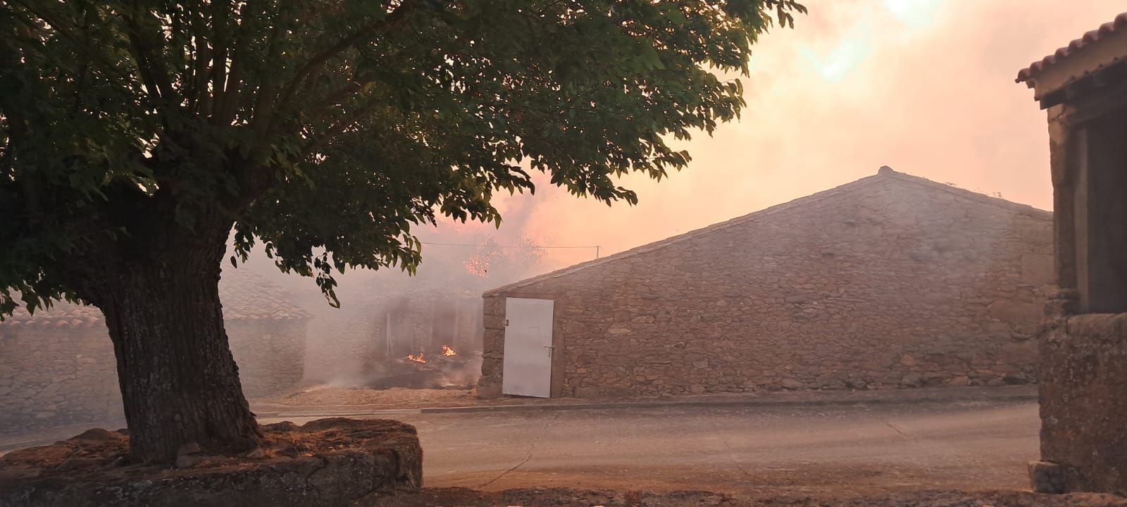 El incendio de Cipérez arrasa Cerezal de Puertas (7).jpeg