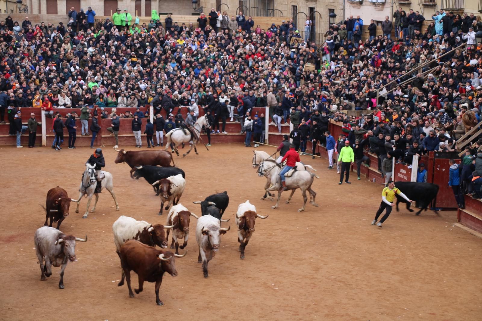 Encierro a Caballo en el Carnaval del Toro 2026 de Ciudad Rodrigo