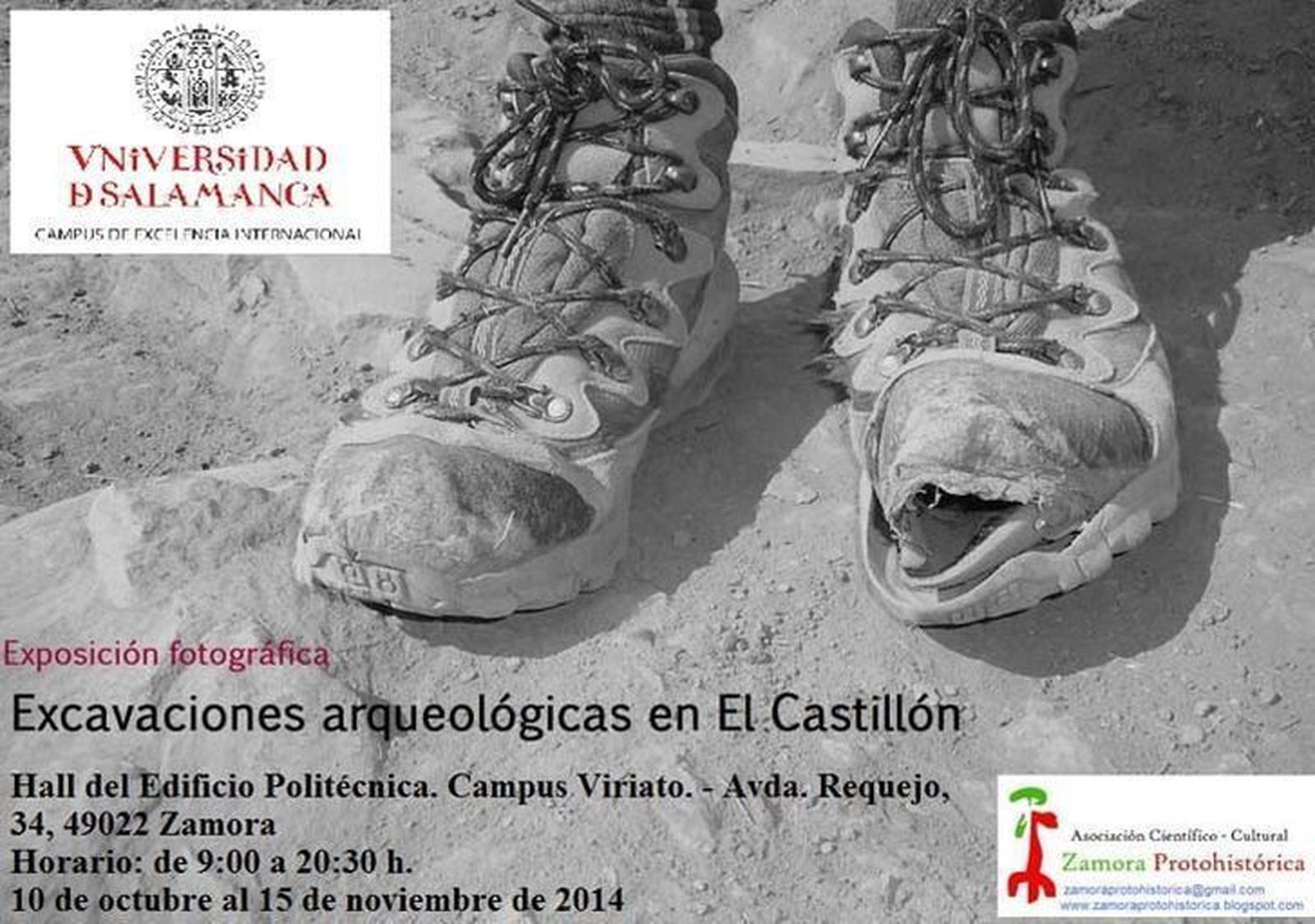 El castro tardoantiguo de El Castillón revela en el Campus Viriato sus secretos