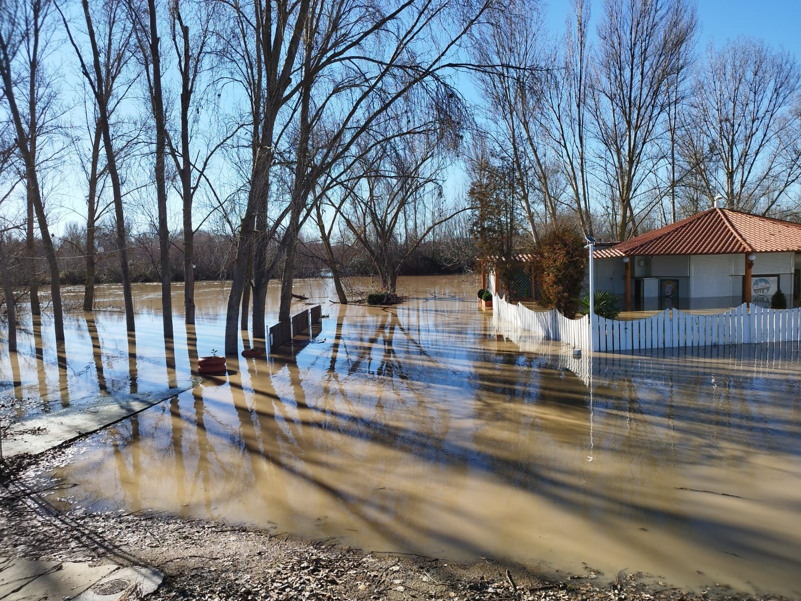 whatsapp-image-2024-01-20-at-13-37-31