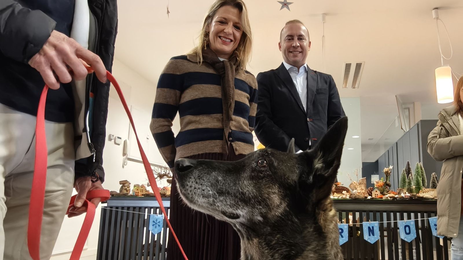 Talleres escolares de tenencia responsable de animales