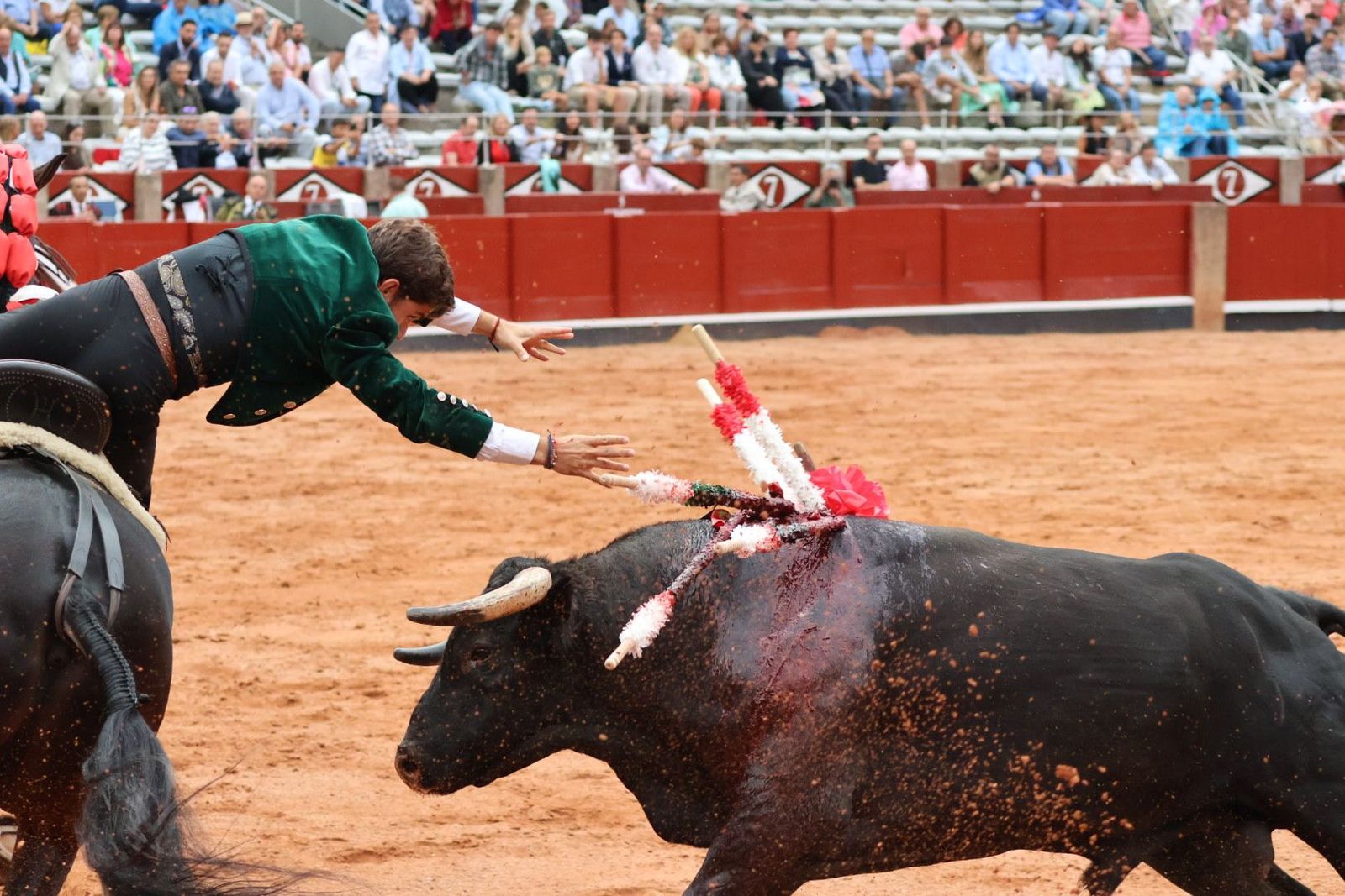 20230909190721-img-0800