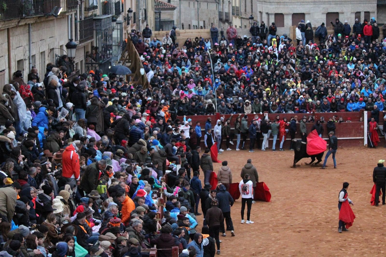 ambiente-y-capea-vespertina-sabado-de-carnaval-en-ciudad-rodrigo-2025-fotos-belen-hurtado-28