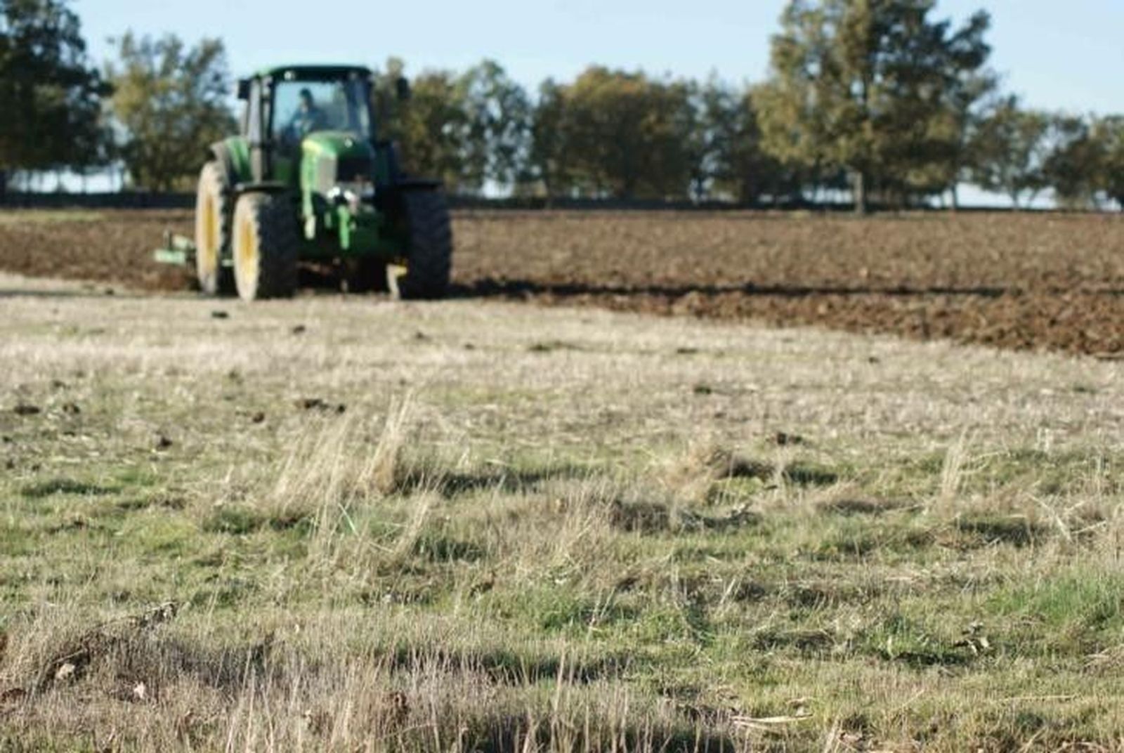 ASAJA pide un desarrollo competitivo del sector agroganadero