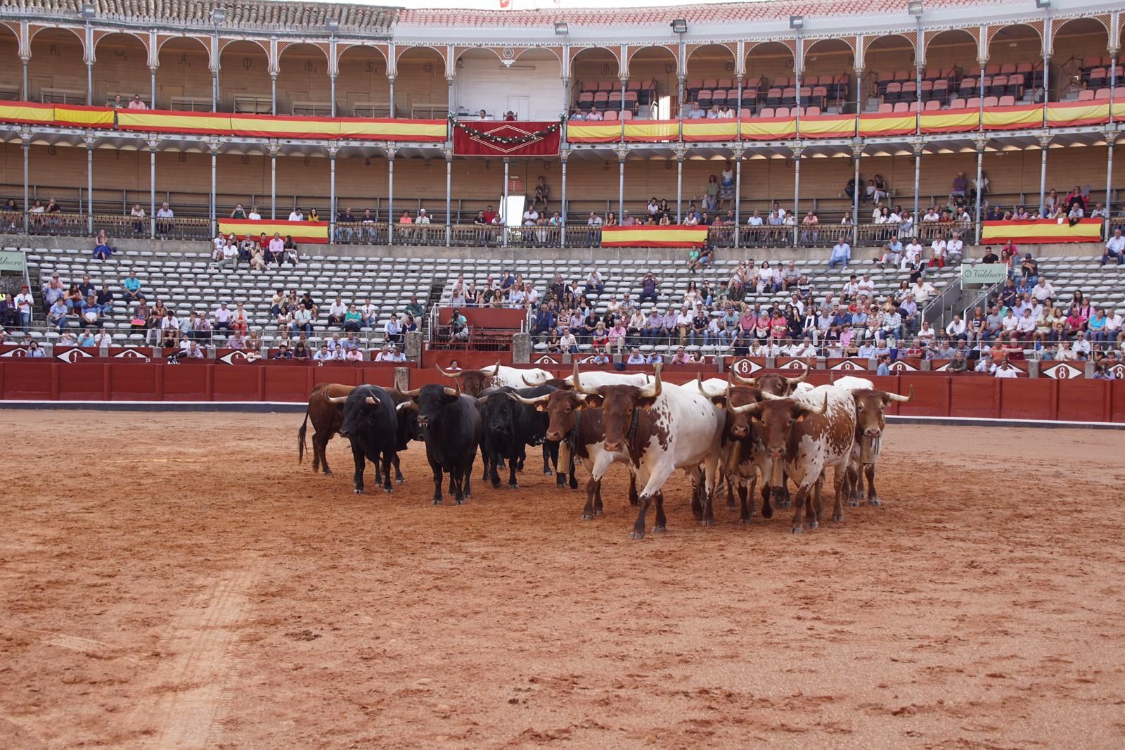 whatsapp-image-2023-09-08-at-19-29-37