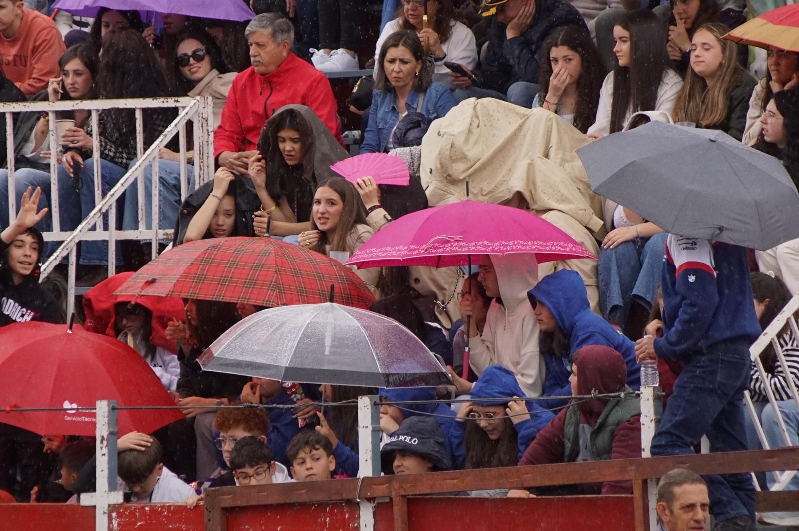 Villoria, toro del Voto