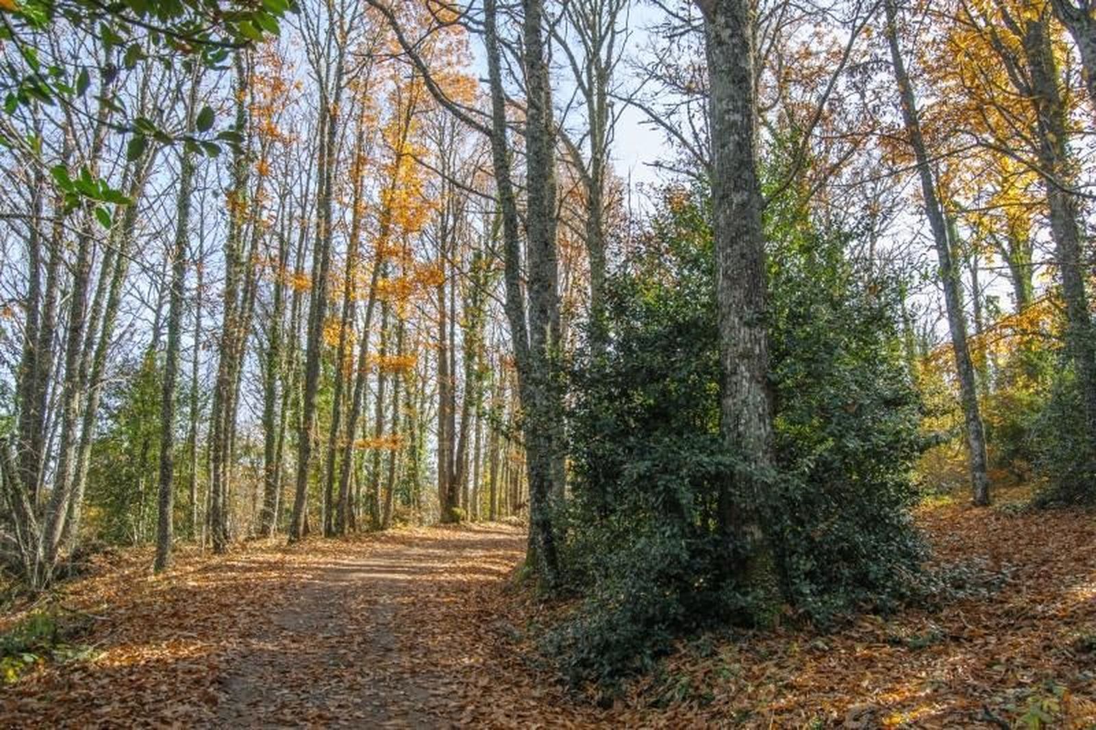 Sendero de la Honfría. Foto: salamancaemocion.es