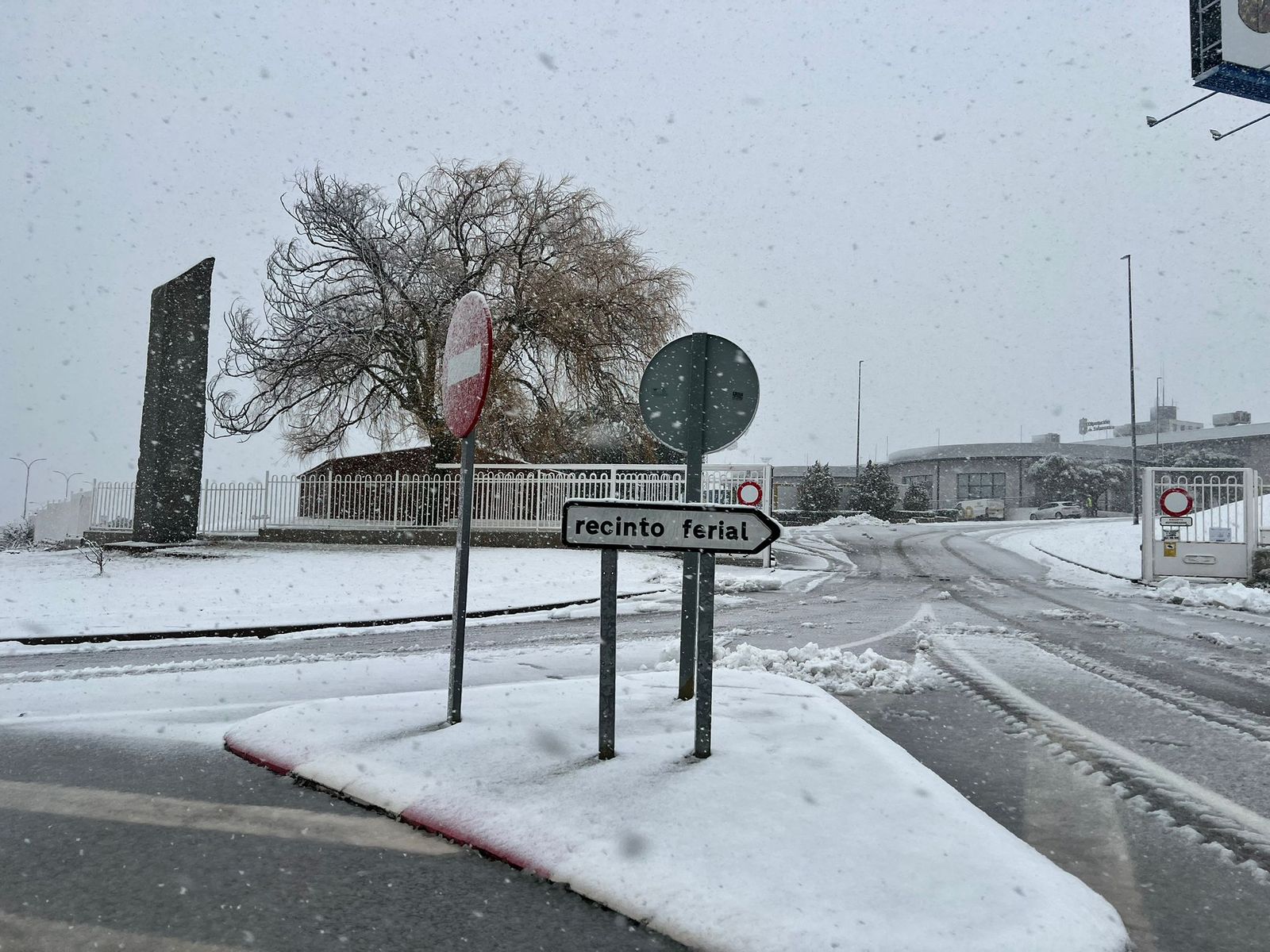 Nevada en Salamanca 28 de enero 2026