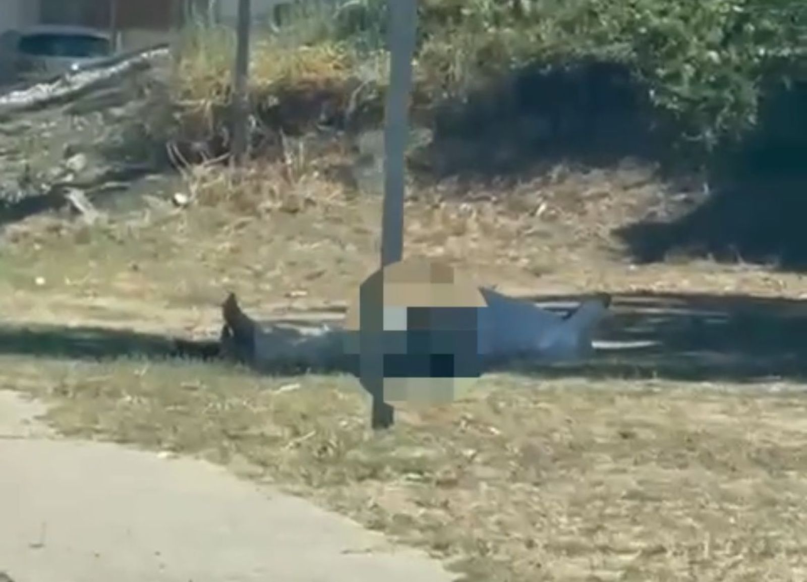 Hombre masturbándose a la entrada de Alba de Tormes