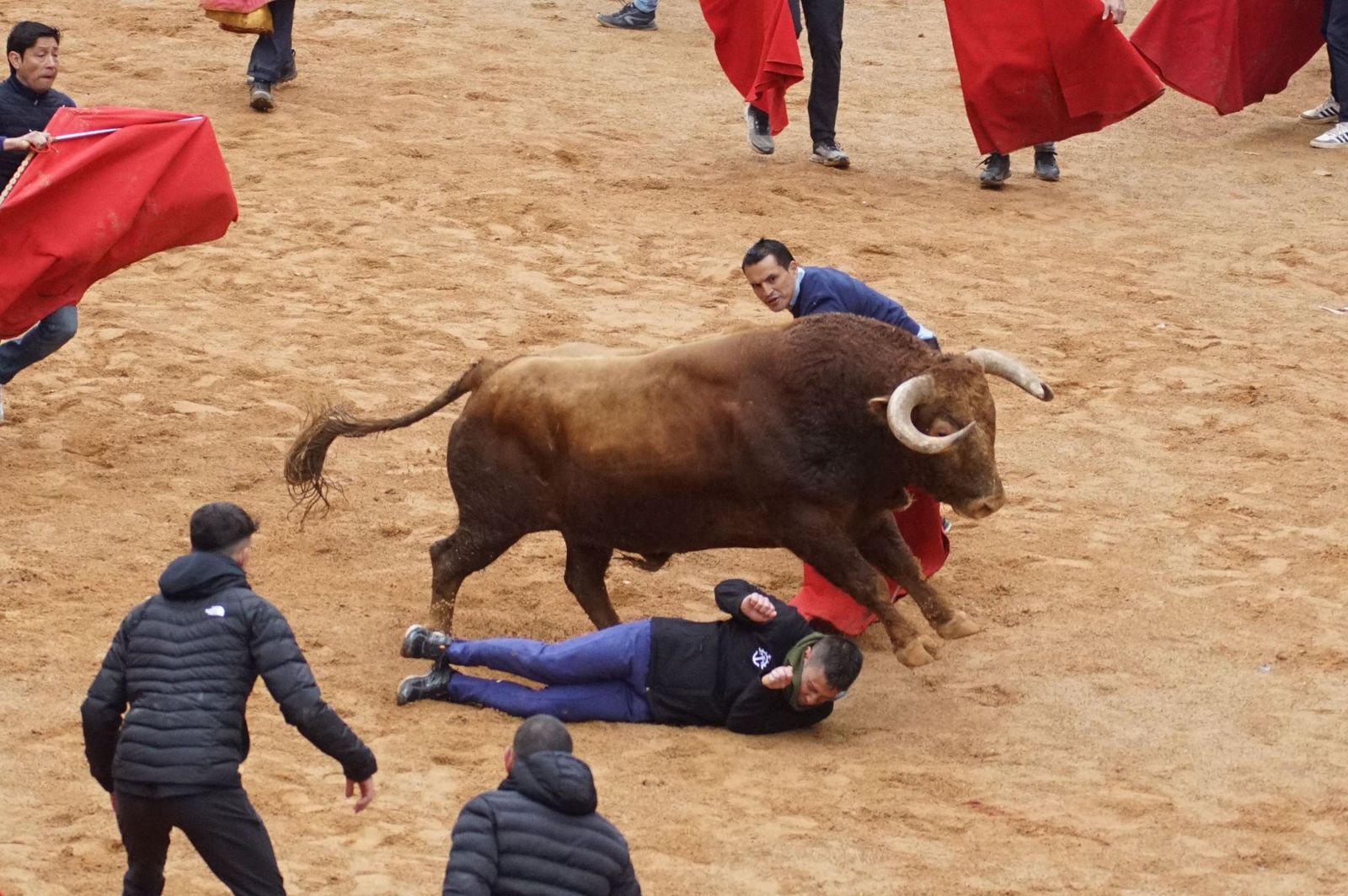 whatsapp-image-2025-03-03-at-14-50-33