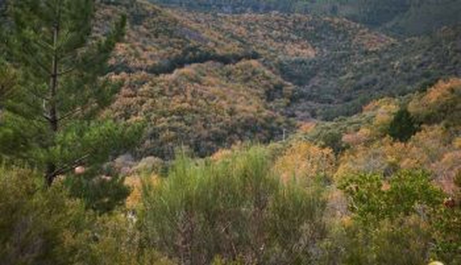 Sierra de las Quilamas