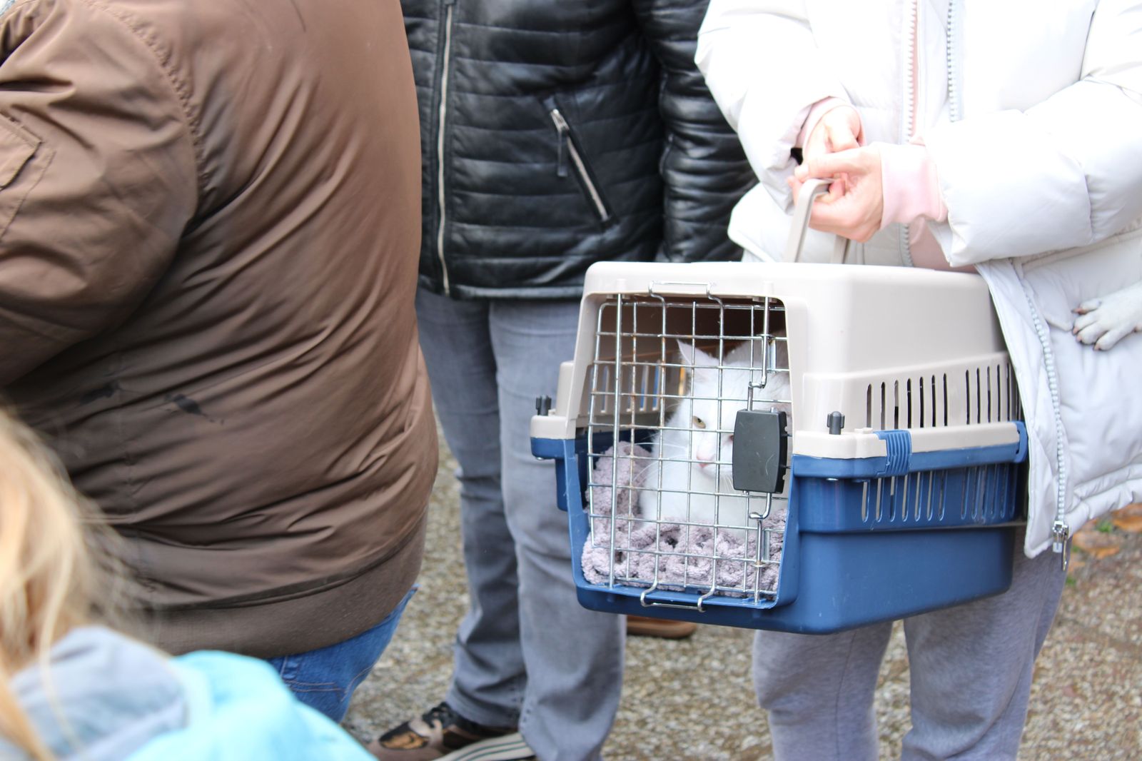 san-anton-bendicion-de-animales-2024-foto-s24h-94