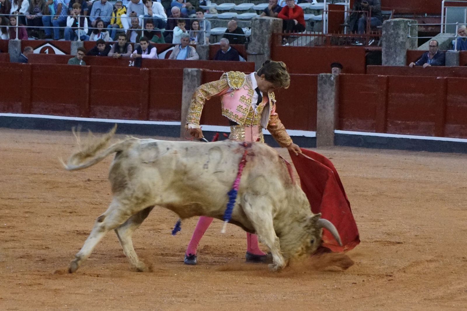 whatsapp-image-2022-09-08-at-9-22-11-pm