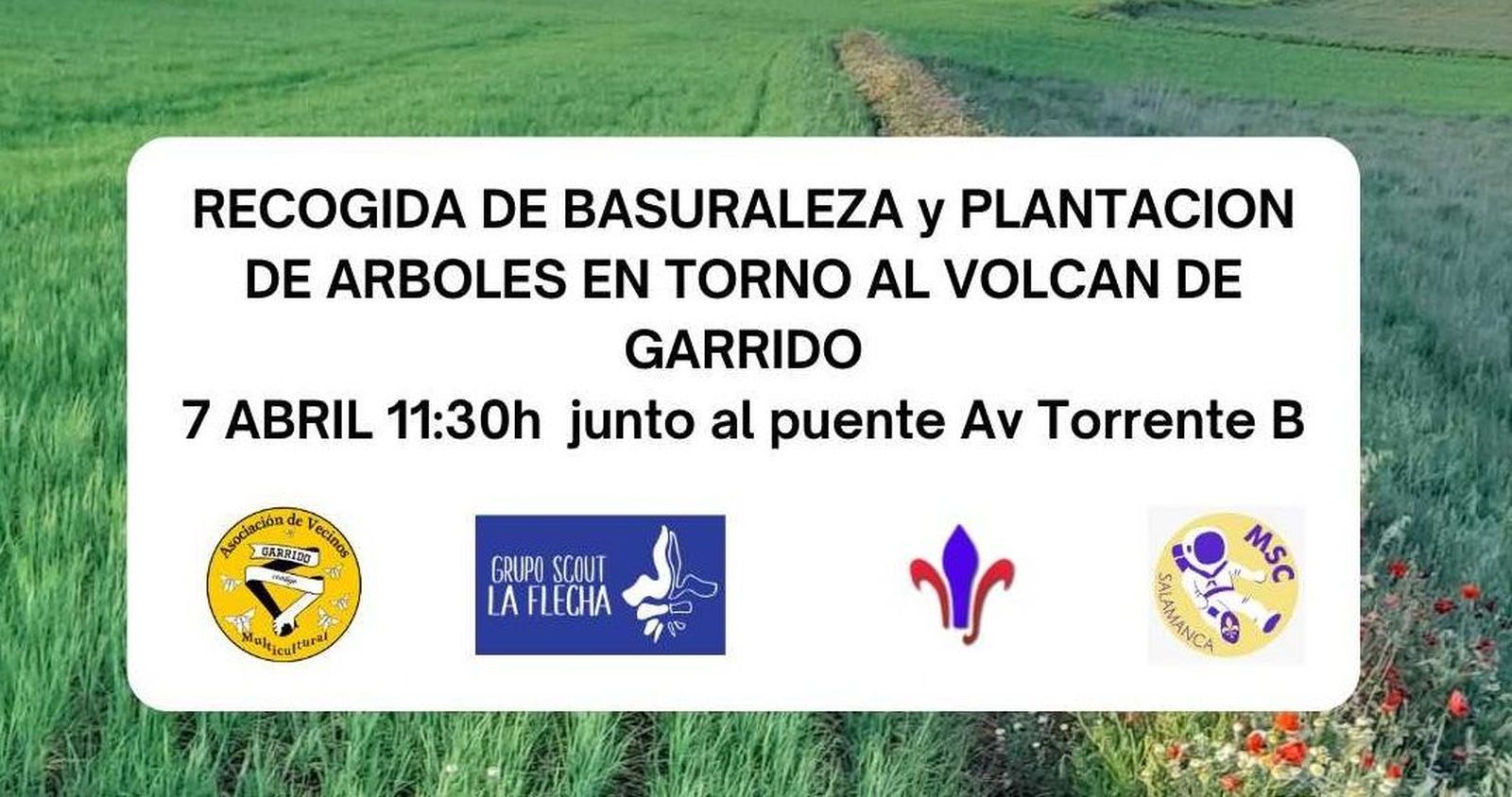 La Asociación Garrido Contigo organiza una recogida de basuraleza y plantación de árboles en torno al Volcan de Garrido