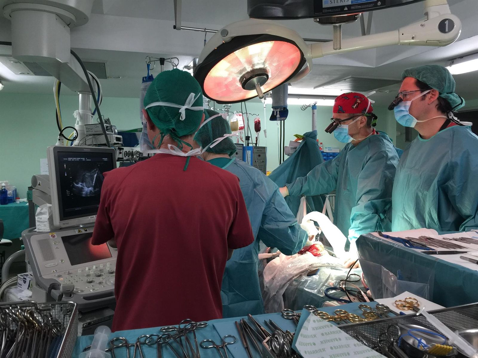 Trasplante. Foto: EP