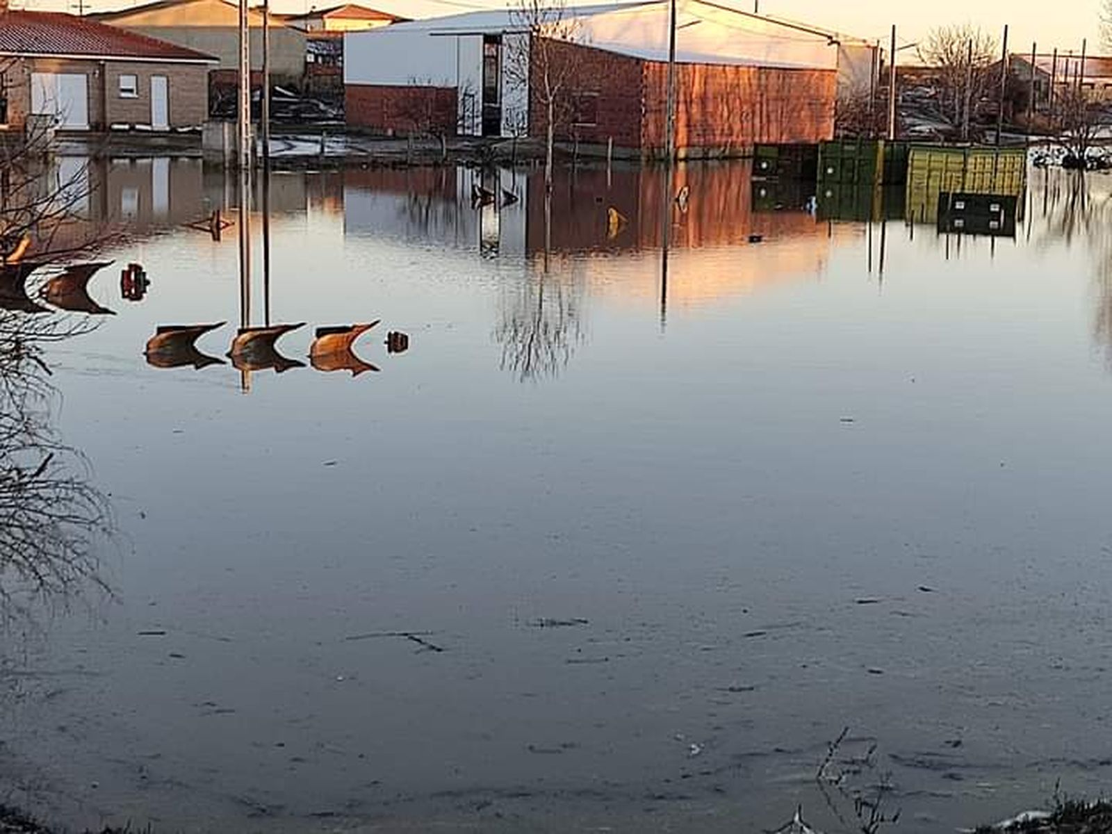 whatsapp-image-2024-01-20-at-14-01-08