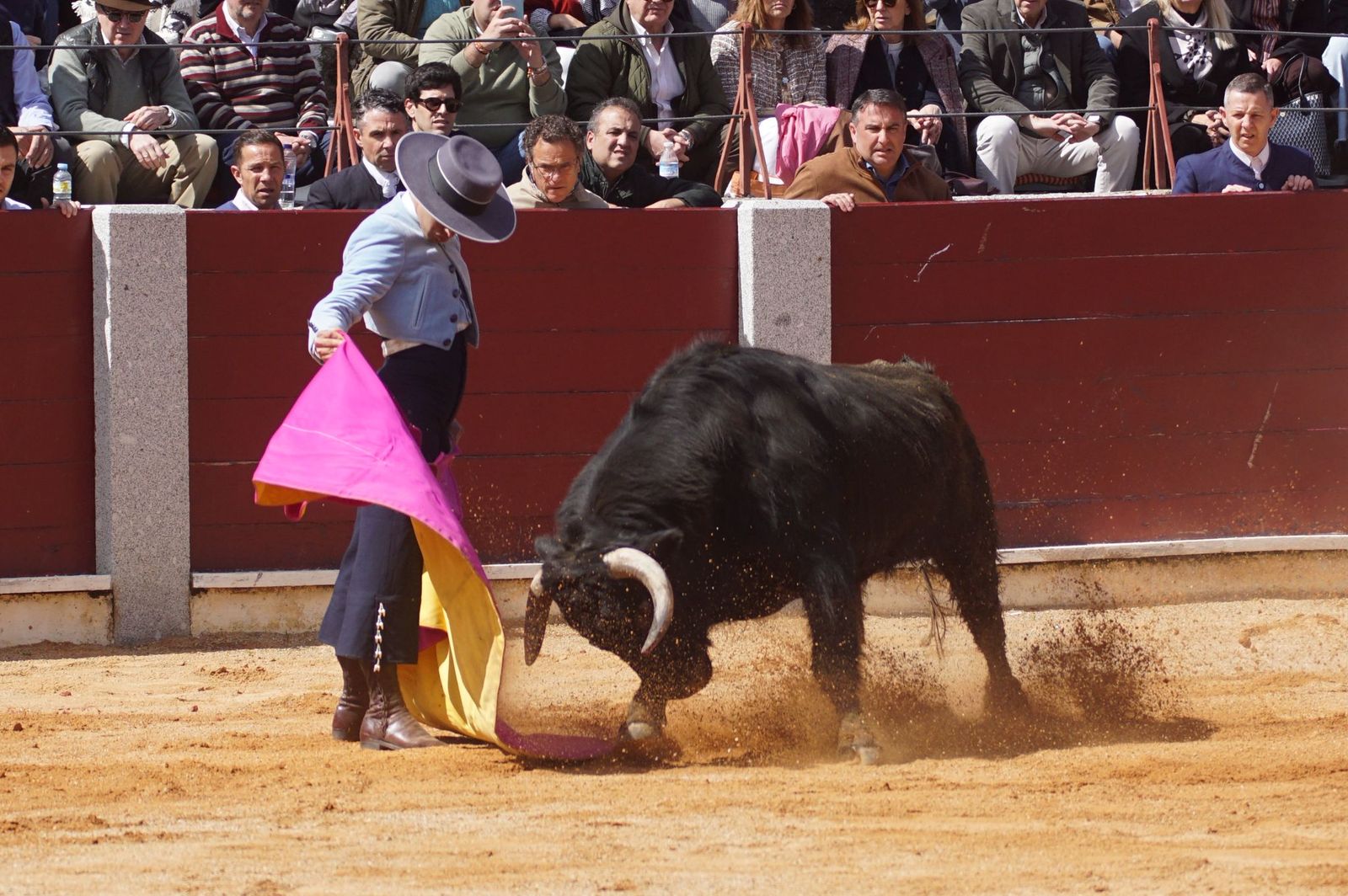 Festival taurino solidario por la esclerosis múltiple en Guijuelo