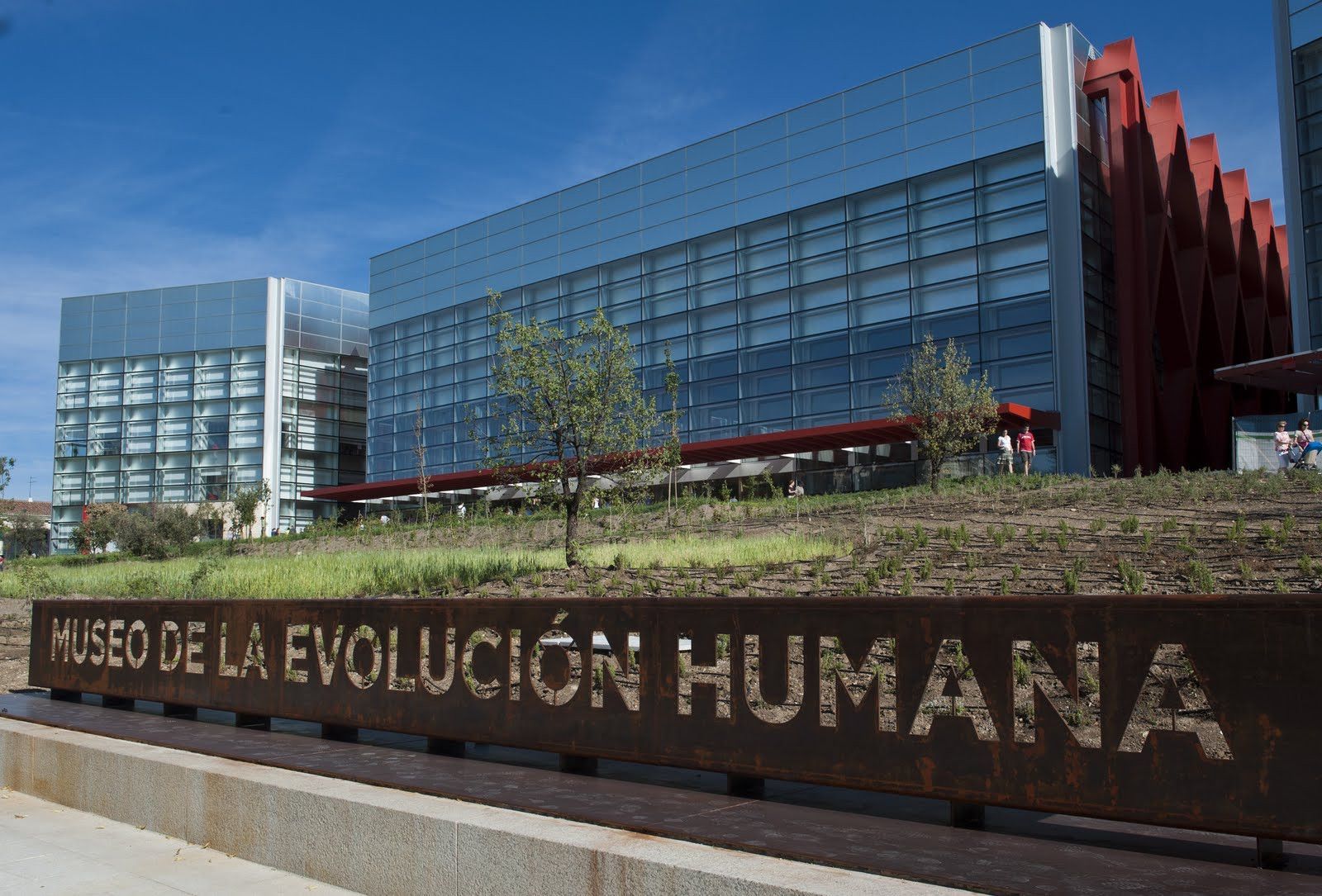 Museo evolucion humana