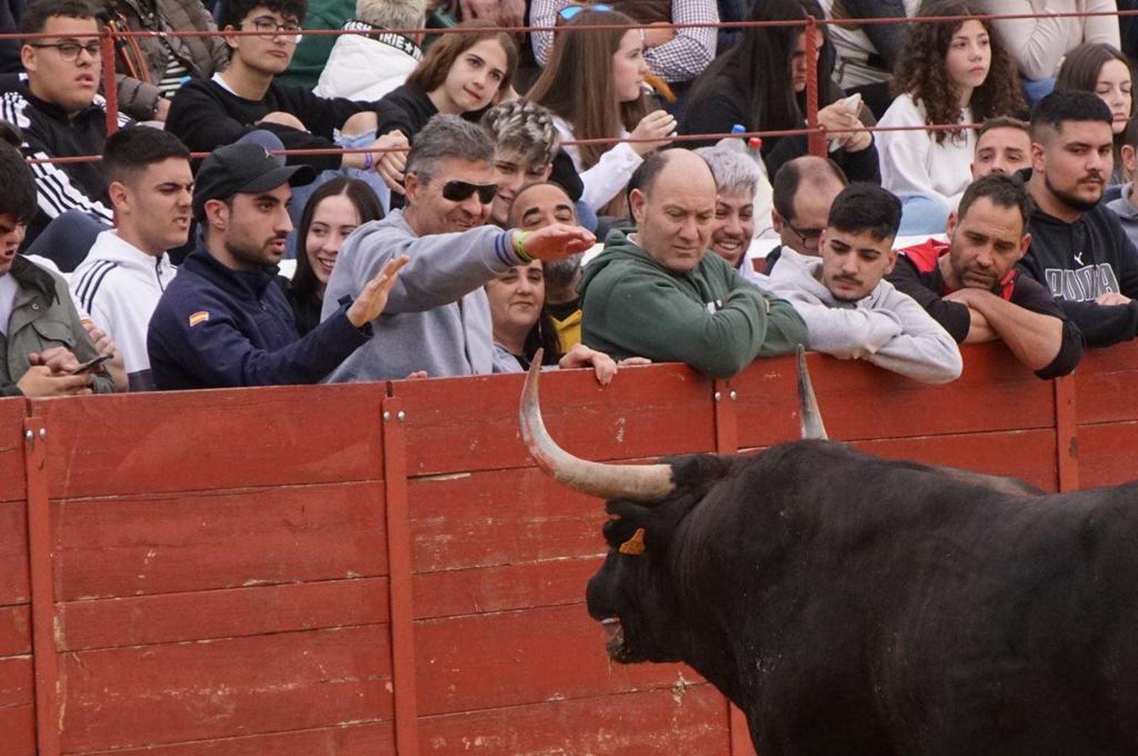 ambiente-y-participacion-durante-el-toro-del-voto-en-villoria-suelta-de-dos-toros-del-cajon-foto-juanes-77