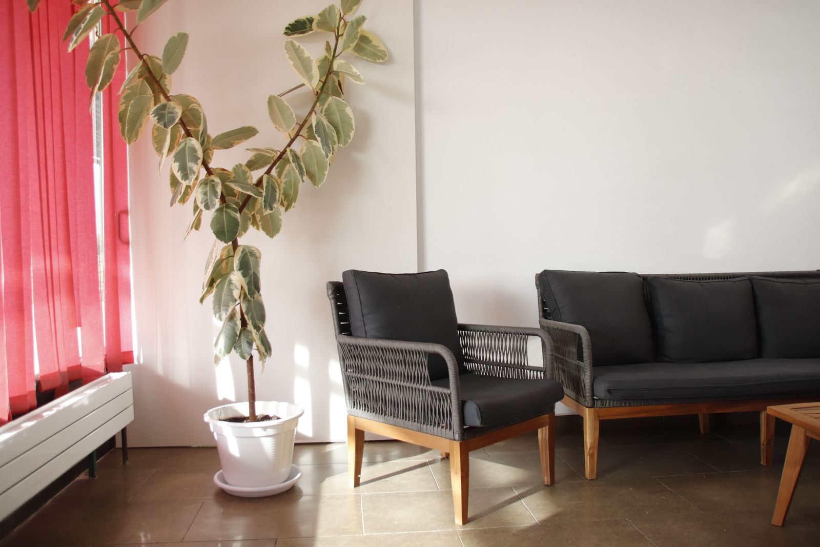 20230215103233-mg-6249