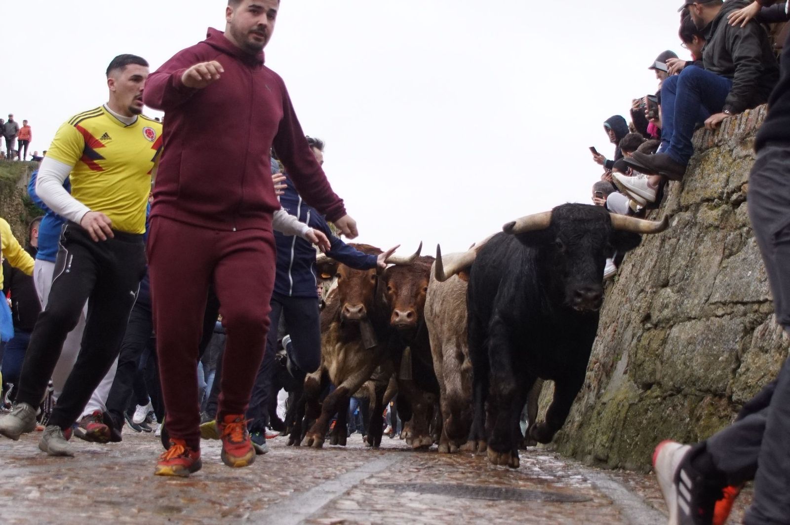 Capea matinal de domingo de carnaval en Ciudad Rodrigo (17).jpeg