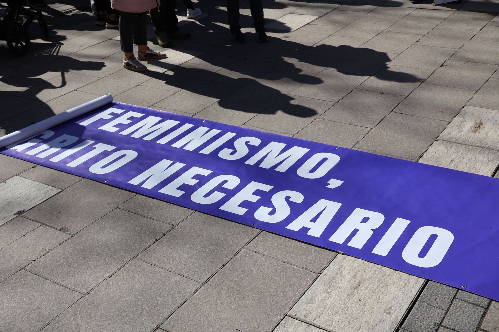 GALERÍA | La manifestación del 8M por las calles de Zamora, en imágenes