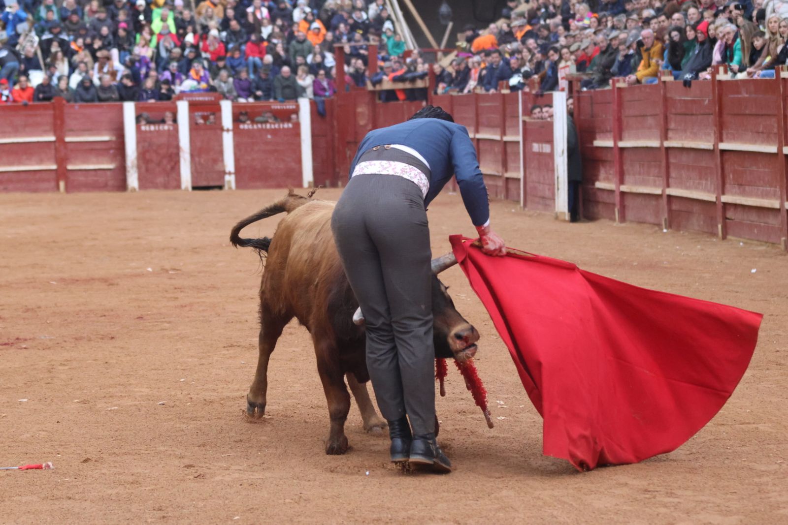 Novillada sin picadores del bolsín taurino y rejones en Ciudad Rodrigo