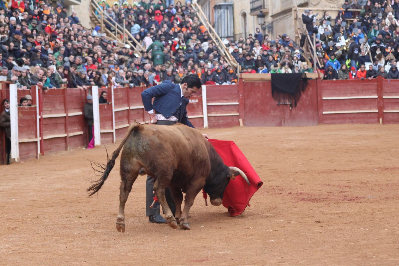 Novillada sin picadores del bolsín taurino y rejones en Ciudad Rodrigo