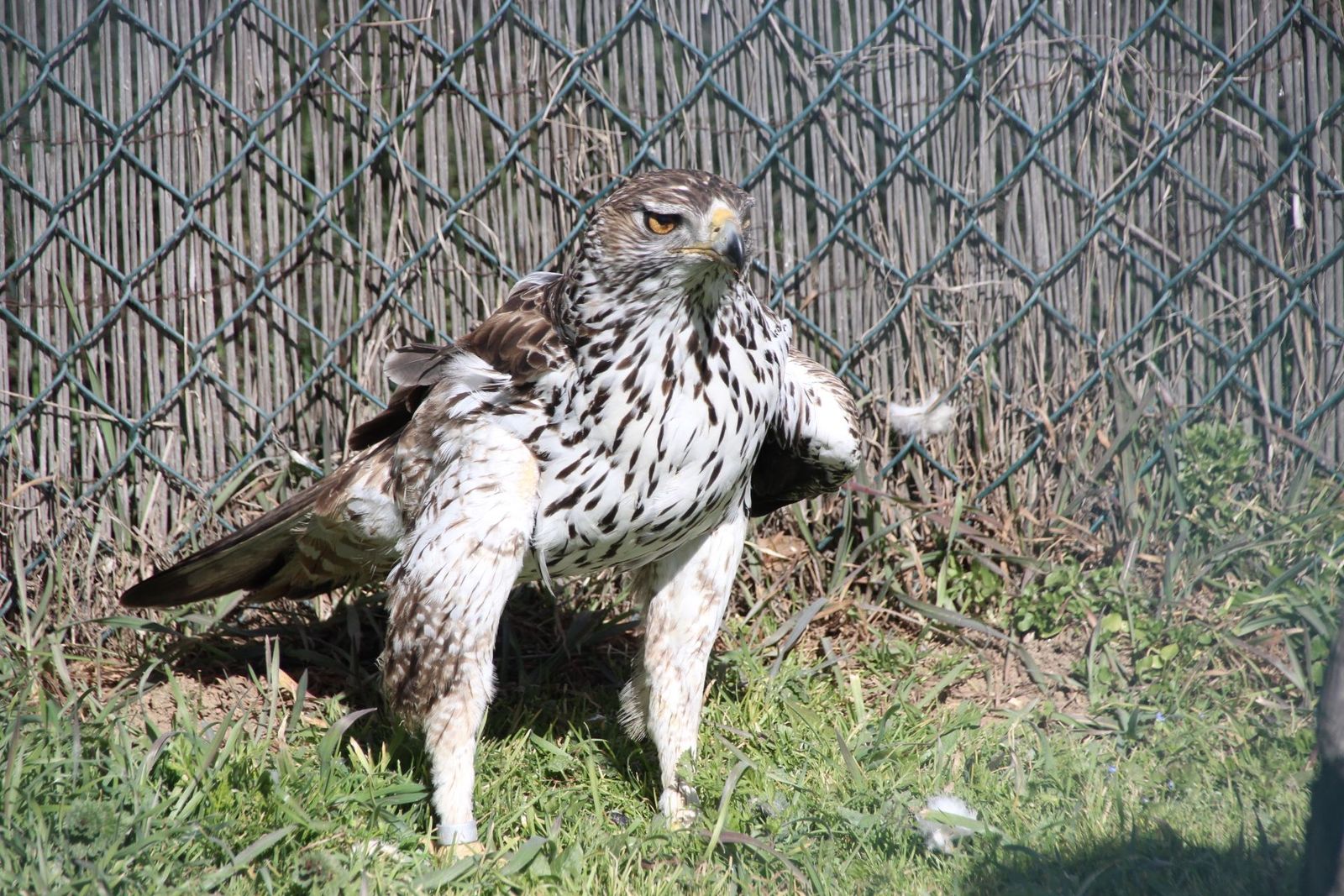 20230304150809-img-1631