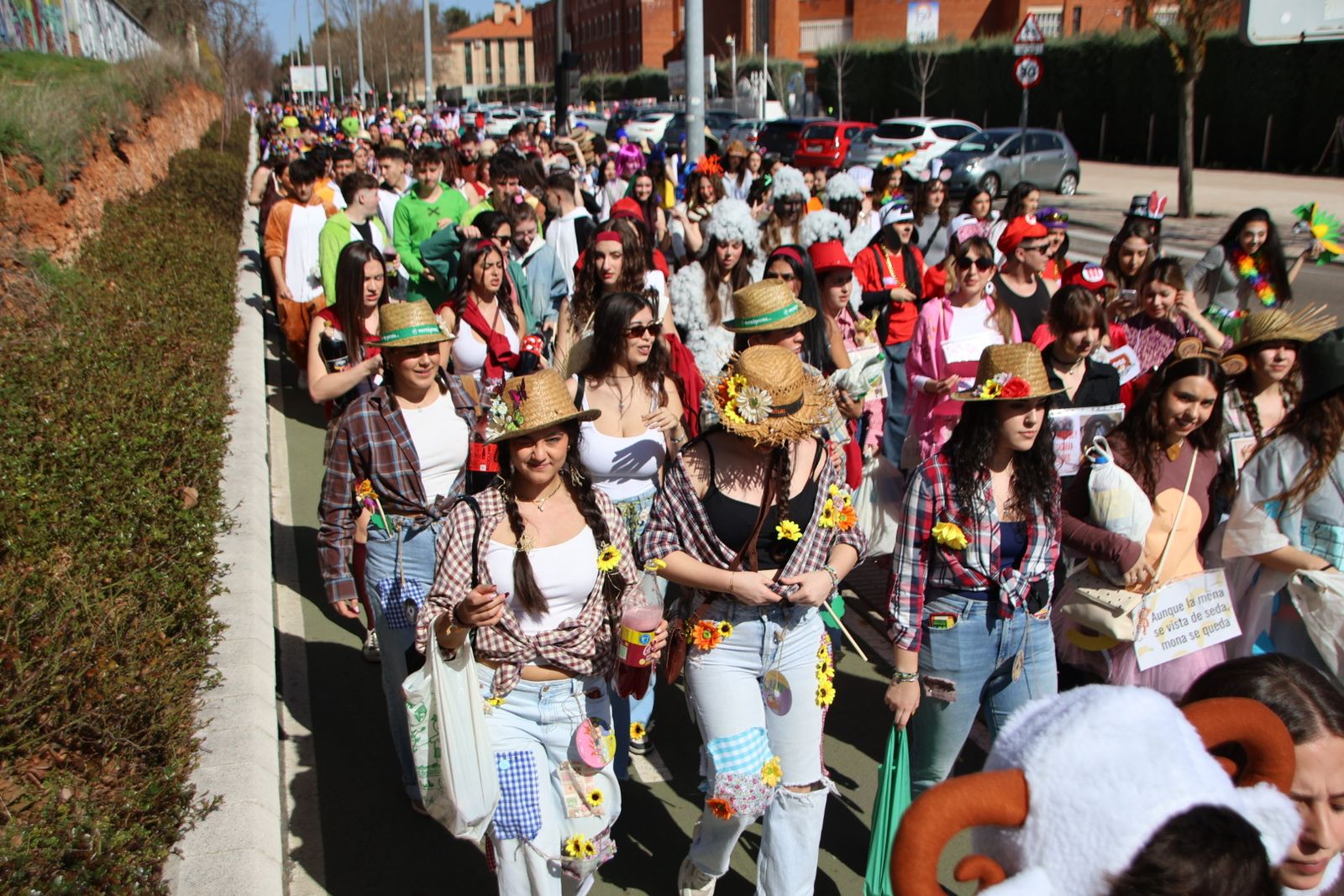 Fiestas facultad de psicología