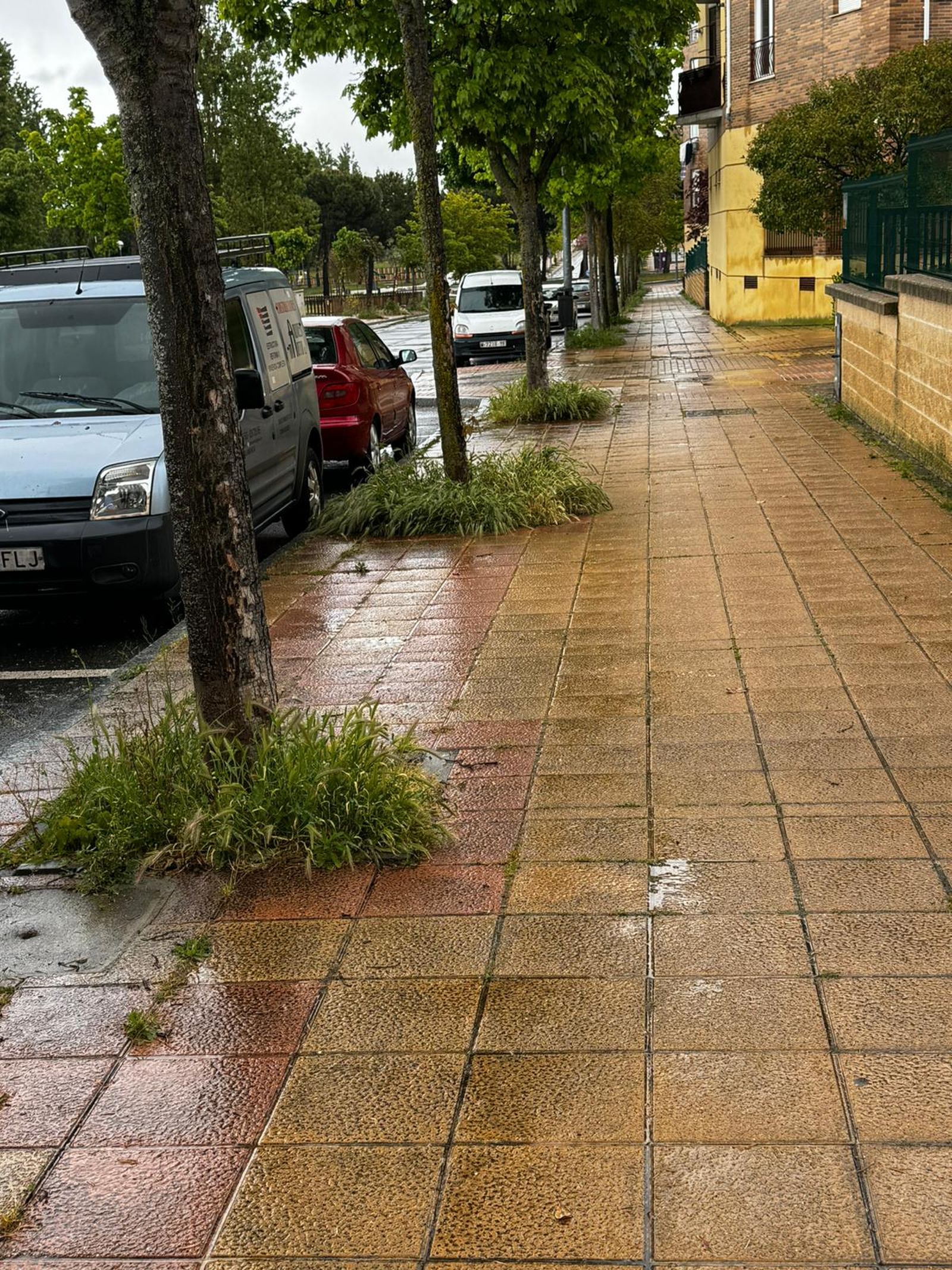 Maleza en Los Alcaldes