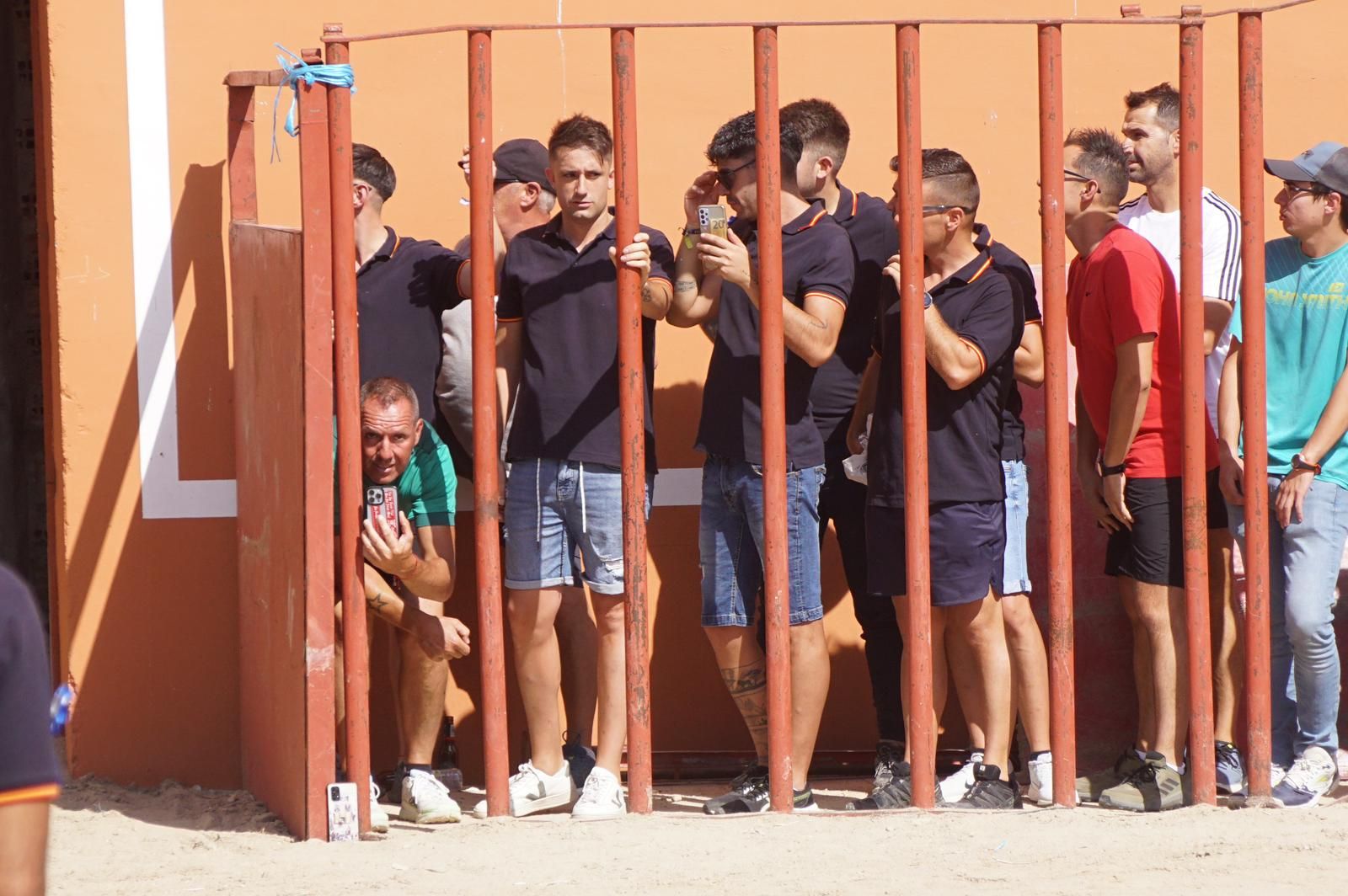 toro-de-cajon-de-castrillo-de-la-guarena-fotos-juanes-29