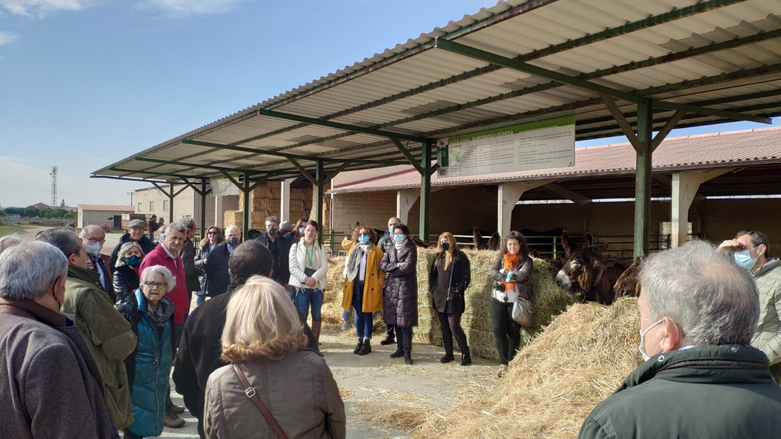 Visita de los veterinarios a Madridanos