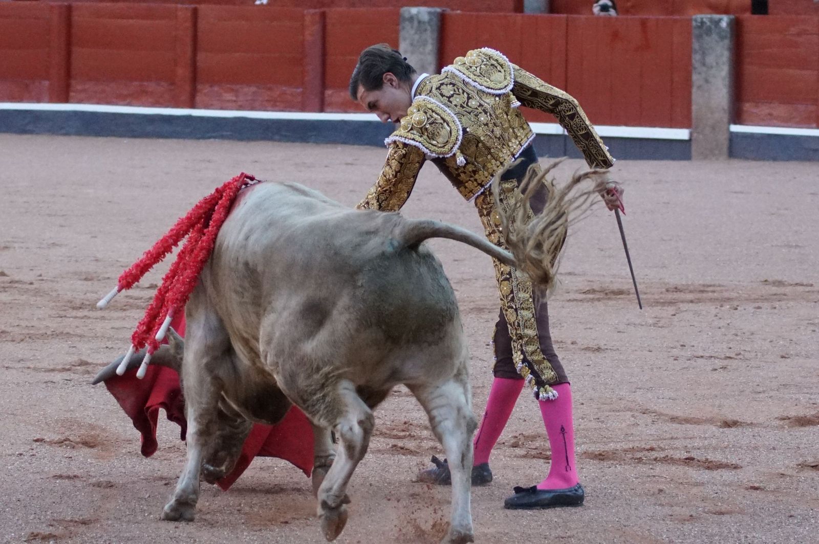 Clase práctica con alumnos de la Escuela de Tauromaquia de Salamanca (Diego Mateos, Noel García y Álvaro Rojo con erales de Esteban Isidro)