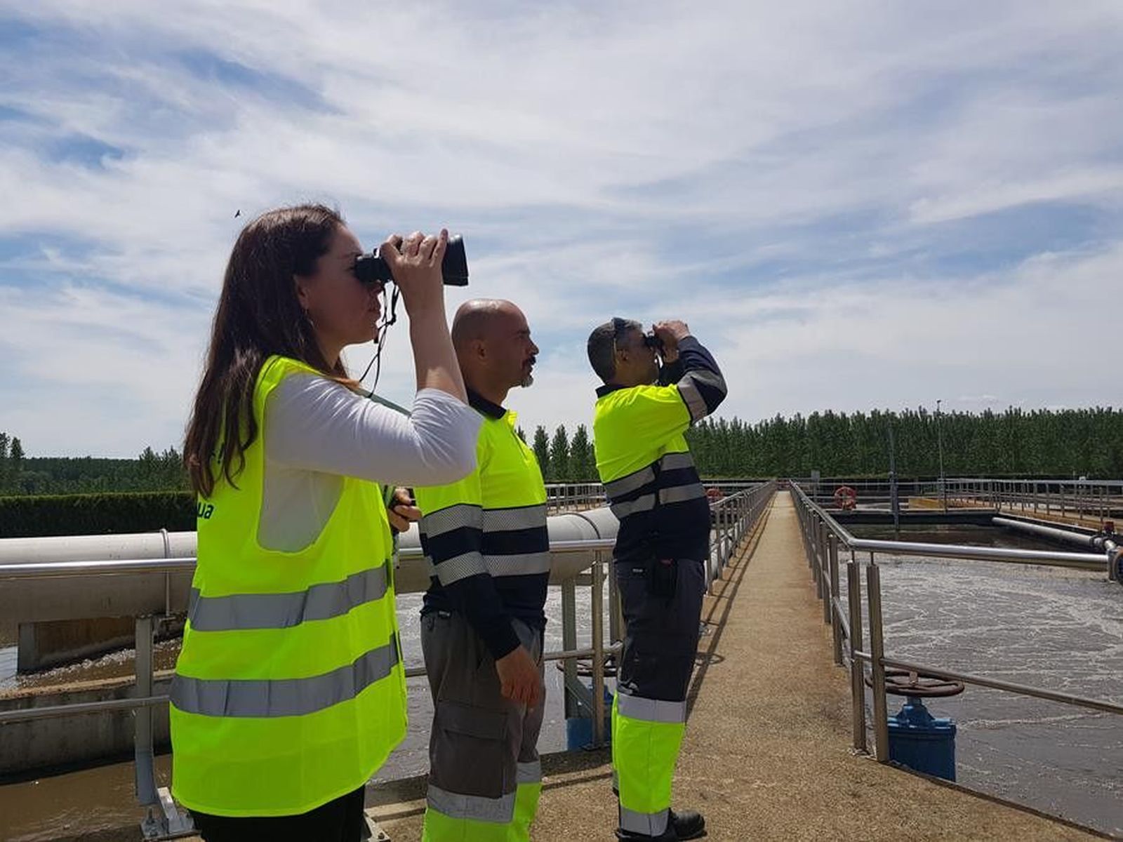Aquona avistamiento aves benavente