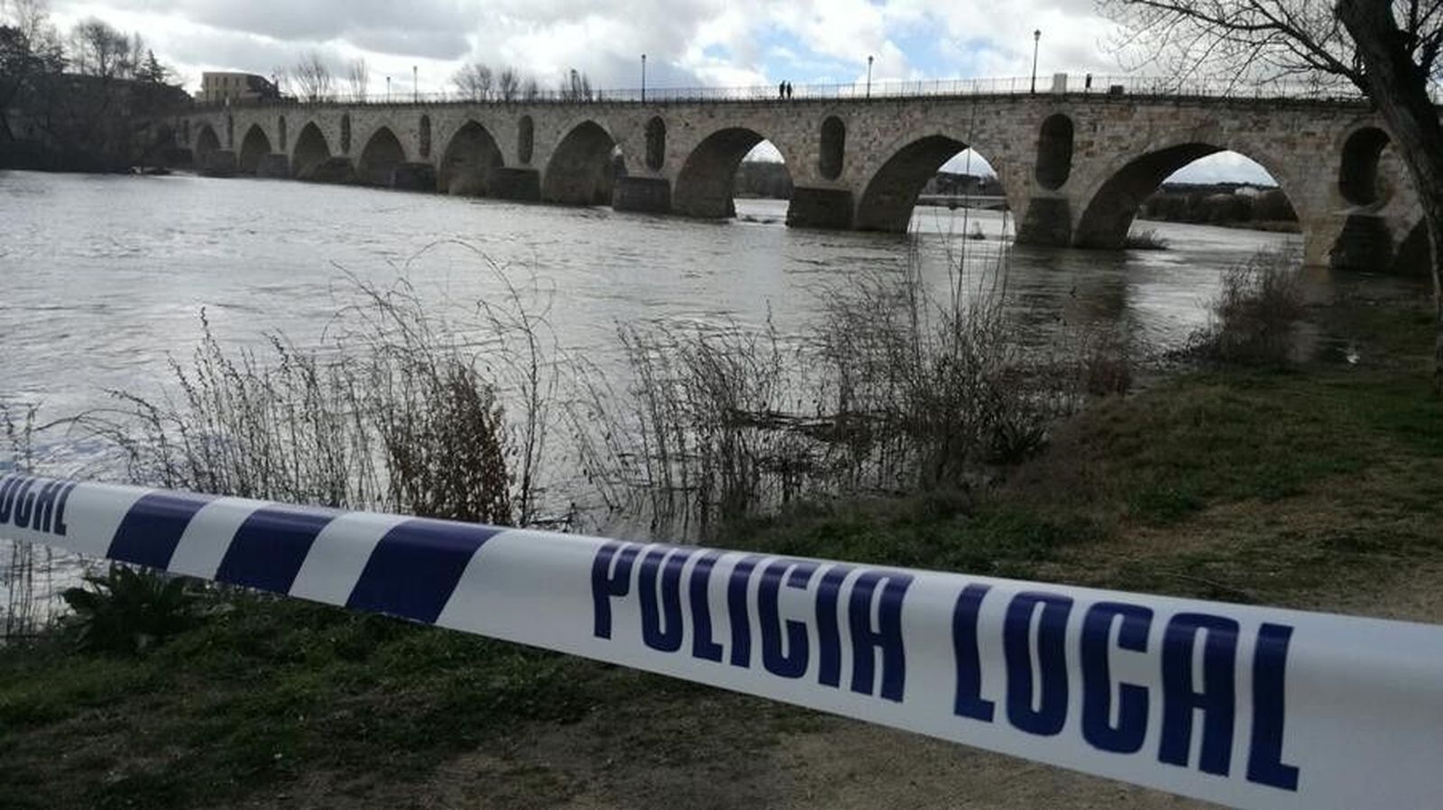 F7ad0d50 ee18 413e 9375 b21ea7922a02 (Copy)