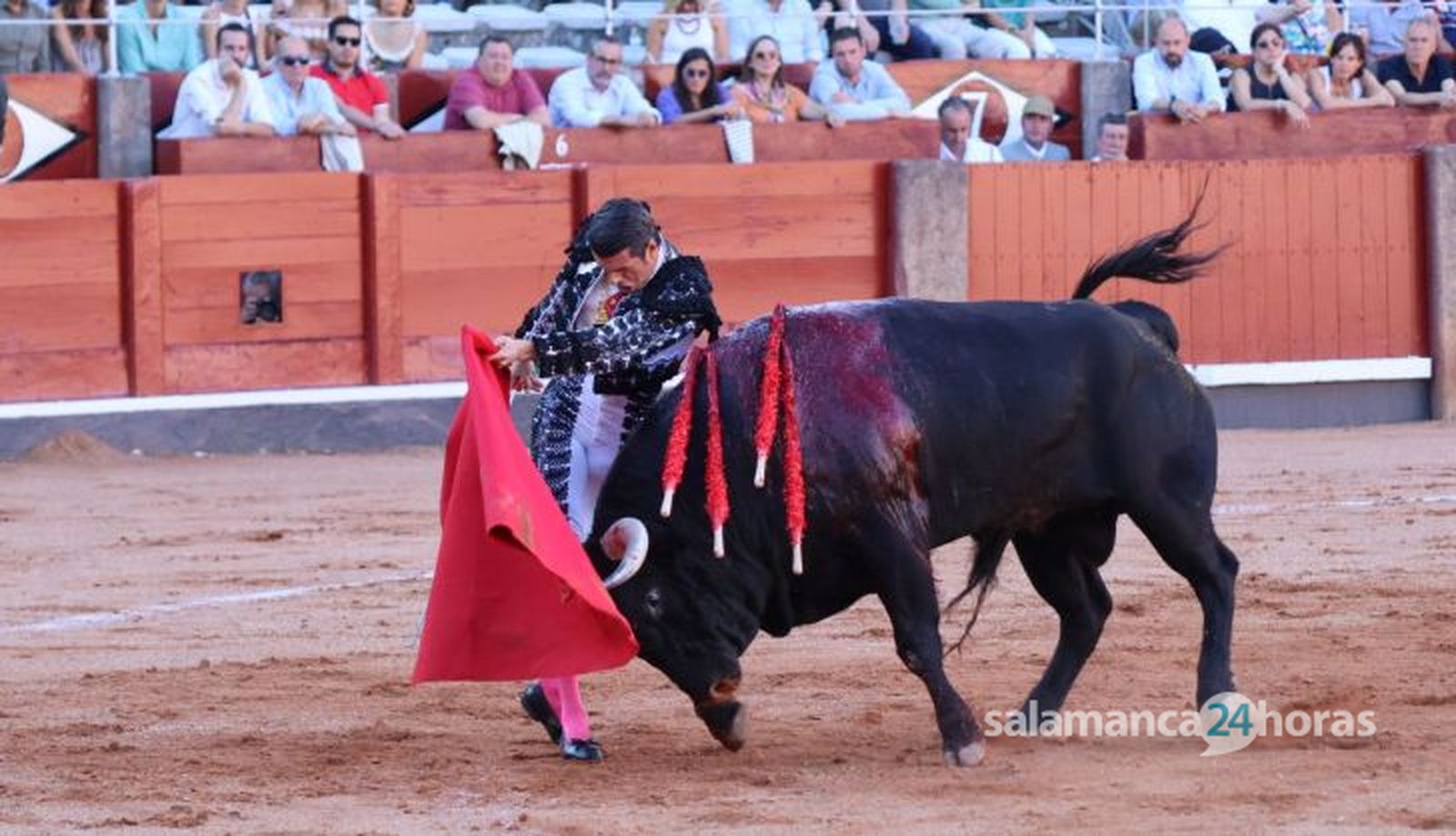 Corrida de El Vellosino: momentos más destacados del tercer festejo de abono de la Feria Taurina Virgen de la Vega 2024. Fotos Andrea M.
