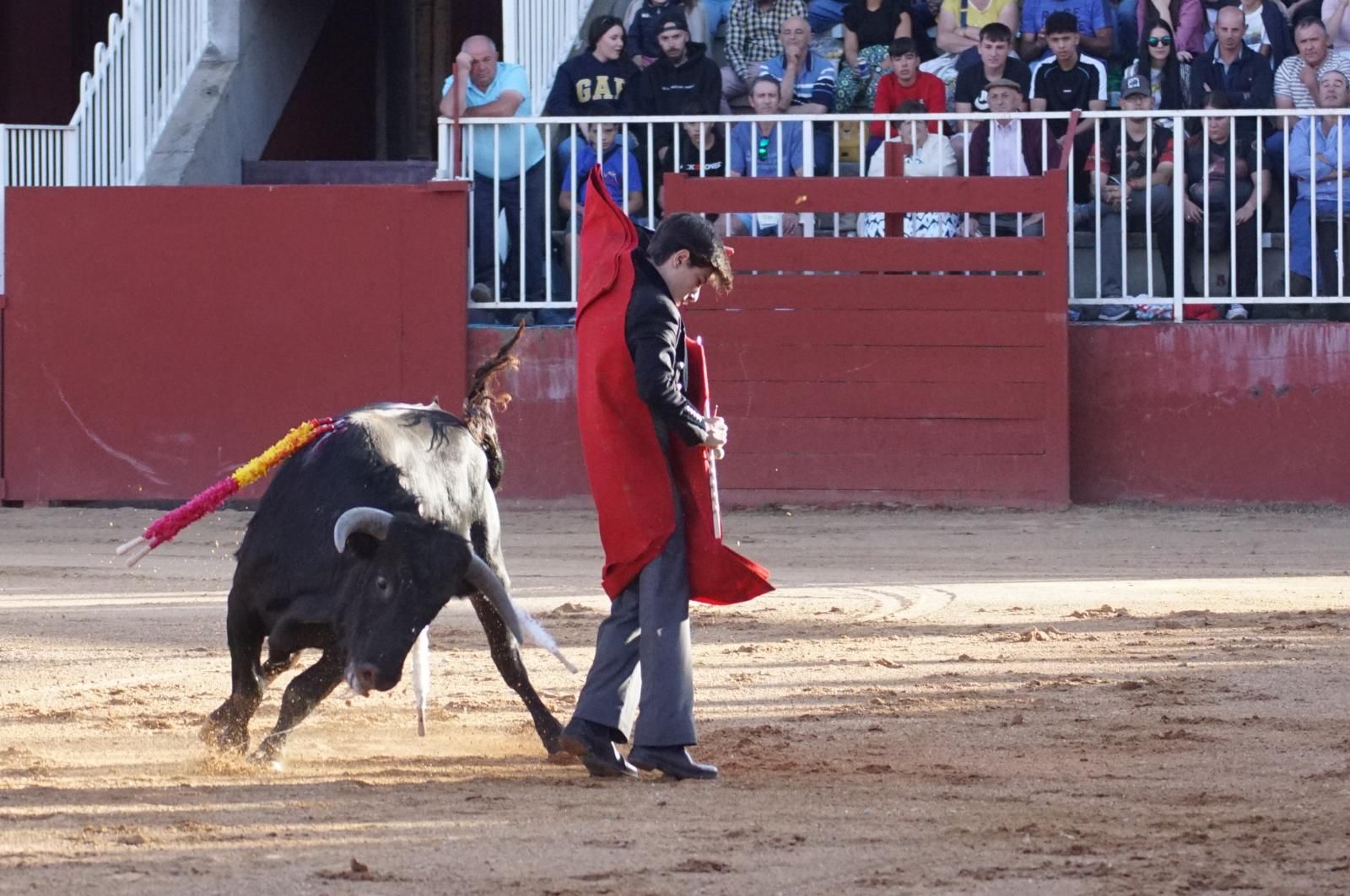 whatsapp-image-2024-09-06-at-20-54-17-2