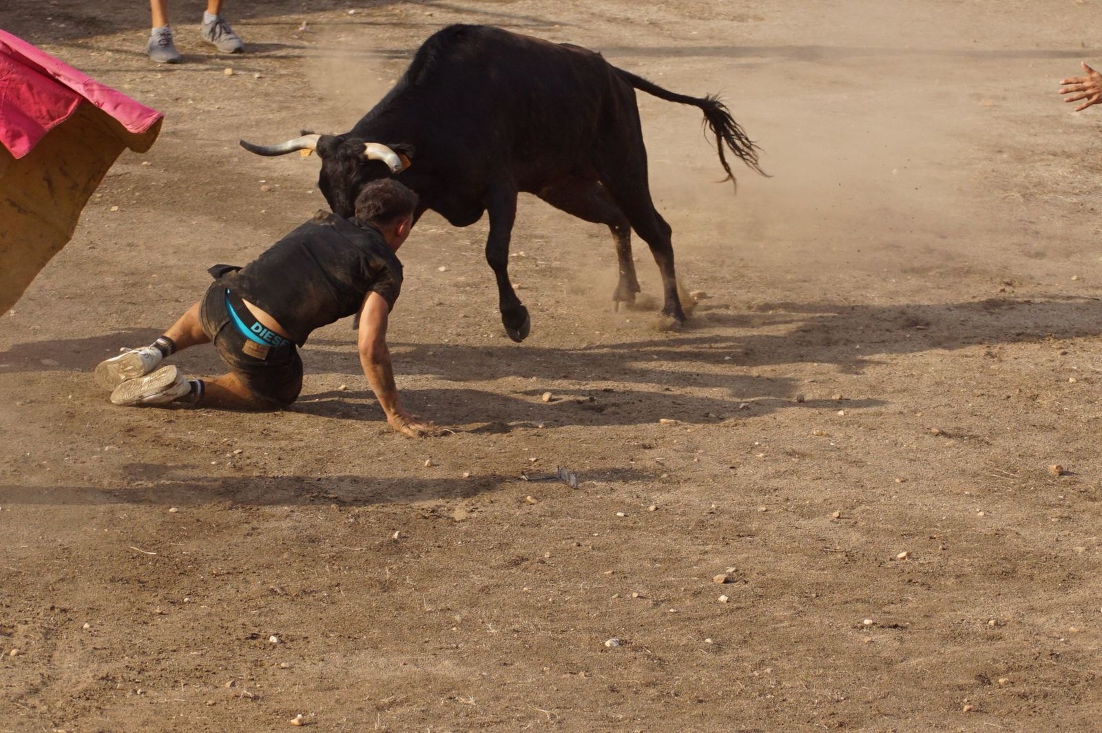 WhatsApp Image 2025-08-01 at 21.51.33.jpeg