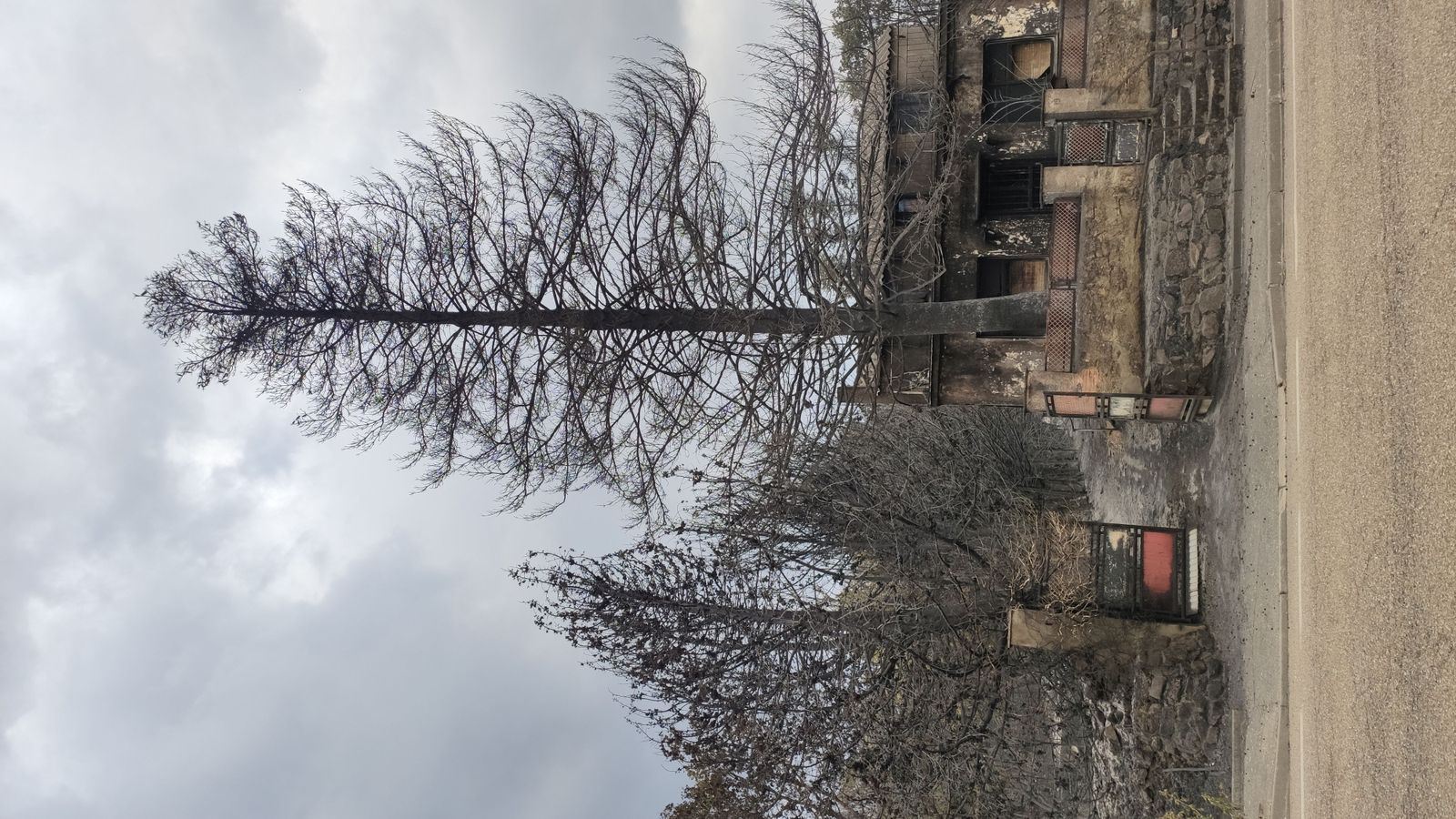 las-desoladoras-imagenes-de-la-sierra-de-la-culebra-tras-el-incendio-9