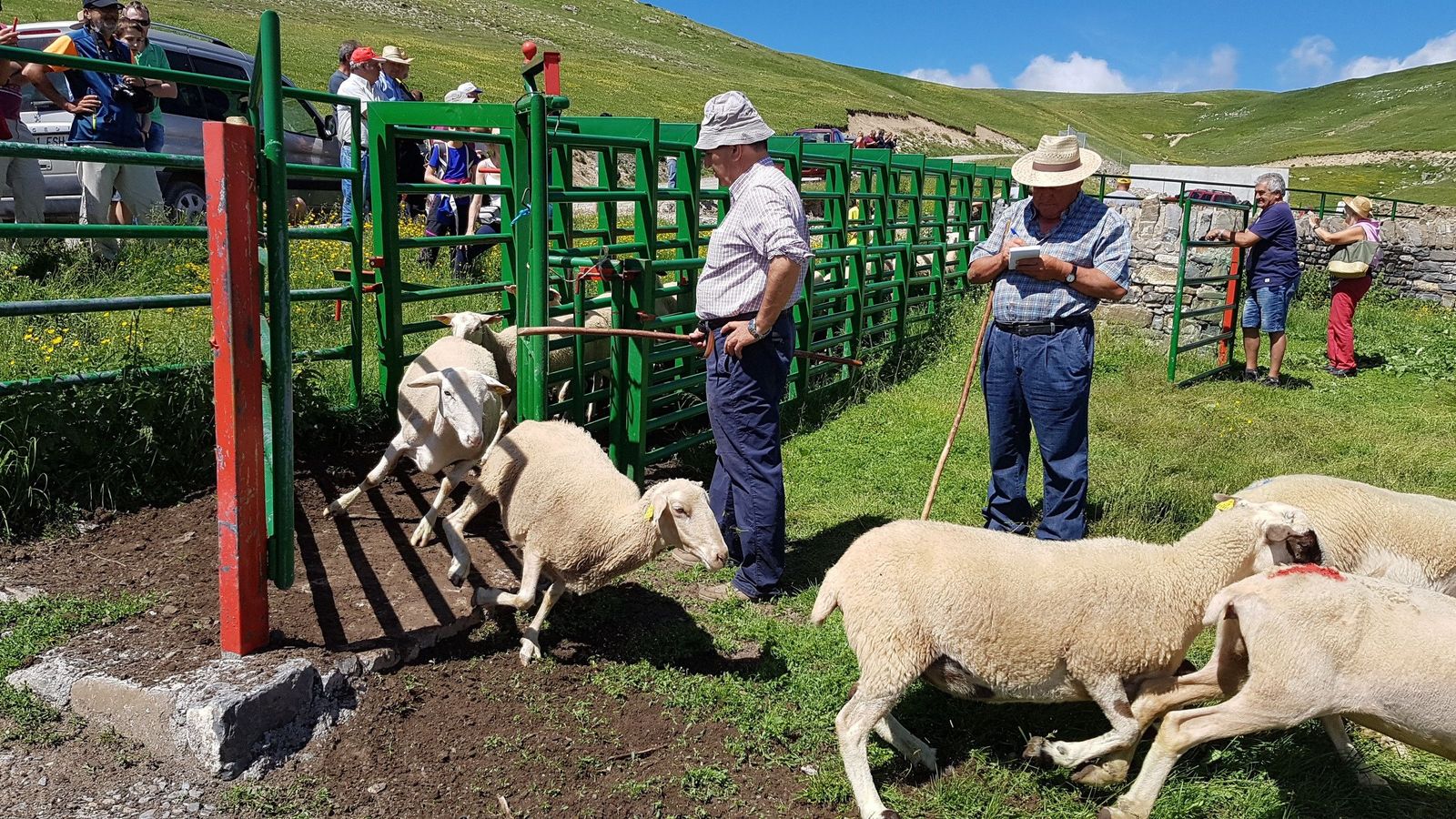 Ganadería extensiva. Centenario Ordesa.