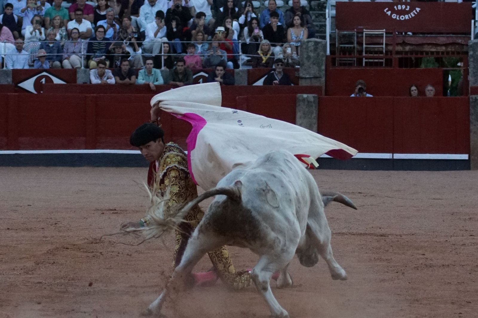 Clase práctica con alumnos de la Escuela de Tauromaquia de Salamanca (Diego Mateos, Noel García y Álvaro Rojo con erales de Esteban Isidro)