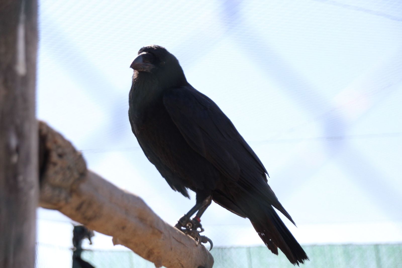 20230304152039-img-1677