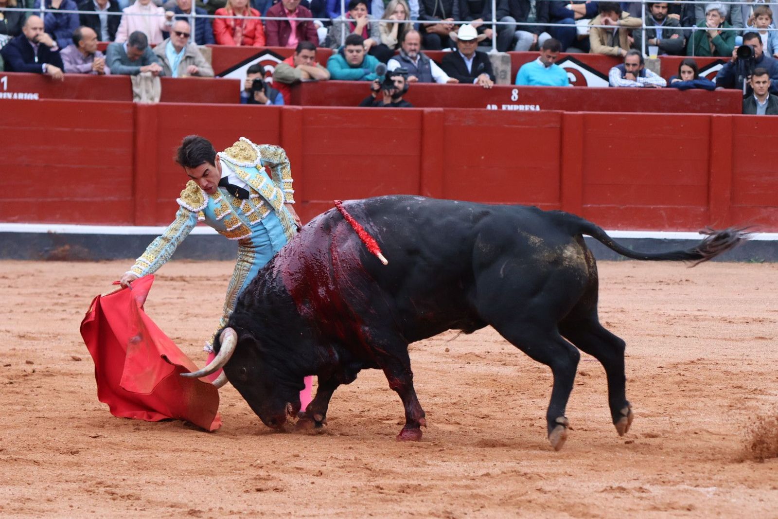 20230921181109-img-8083