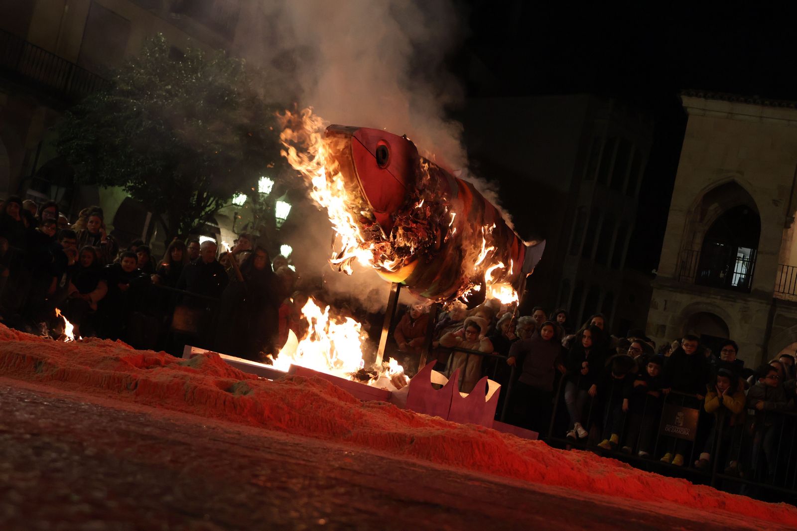 entierro-de-la-sardina-2025-78